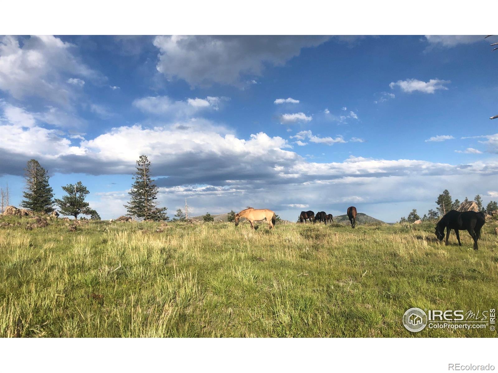 3235 Davis Ranch Road Bellvue CO 80512