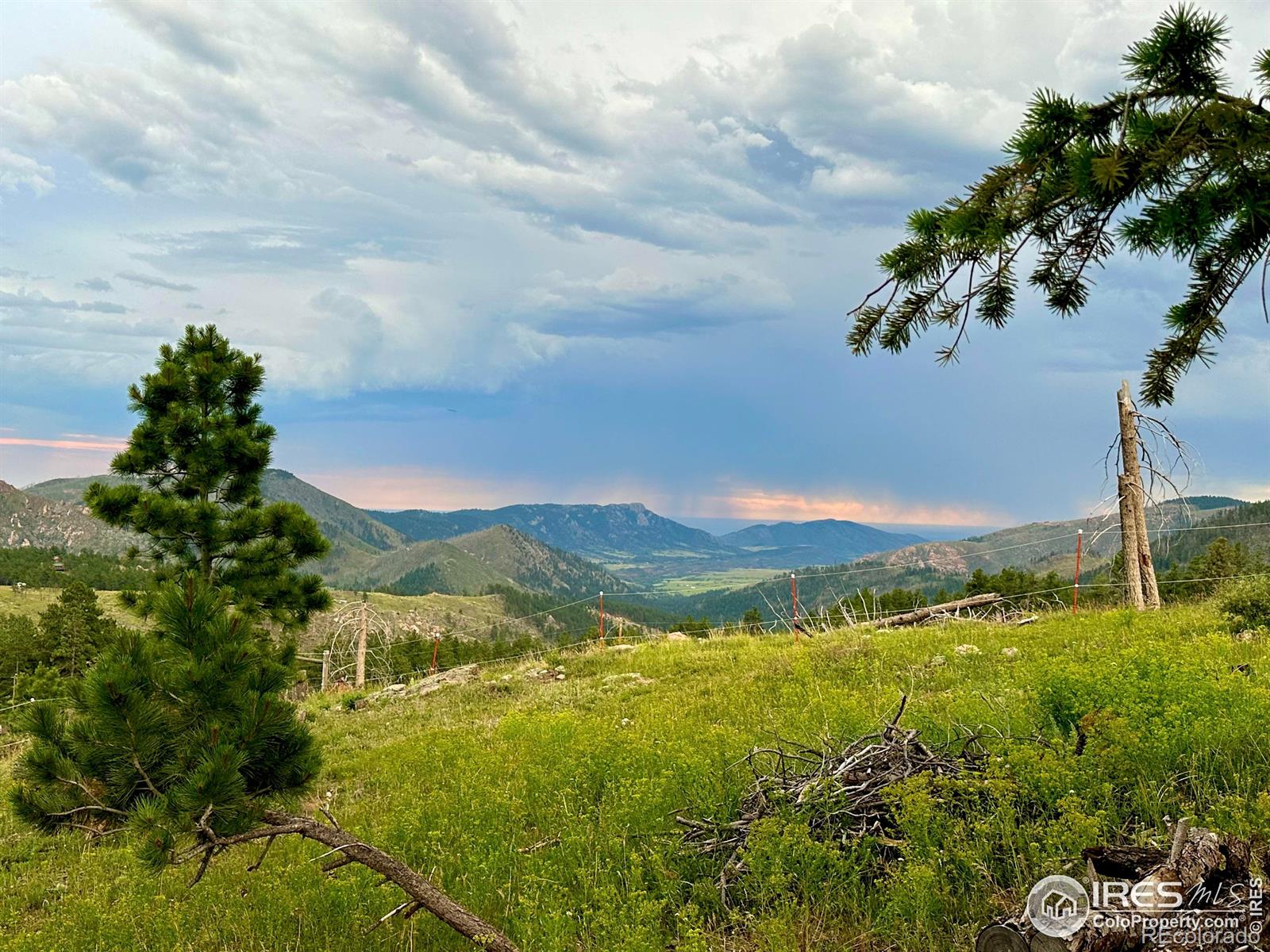 3235 Davis Ranch Road Bellvue CO 80512