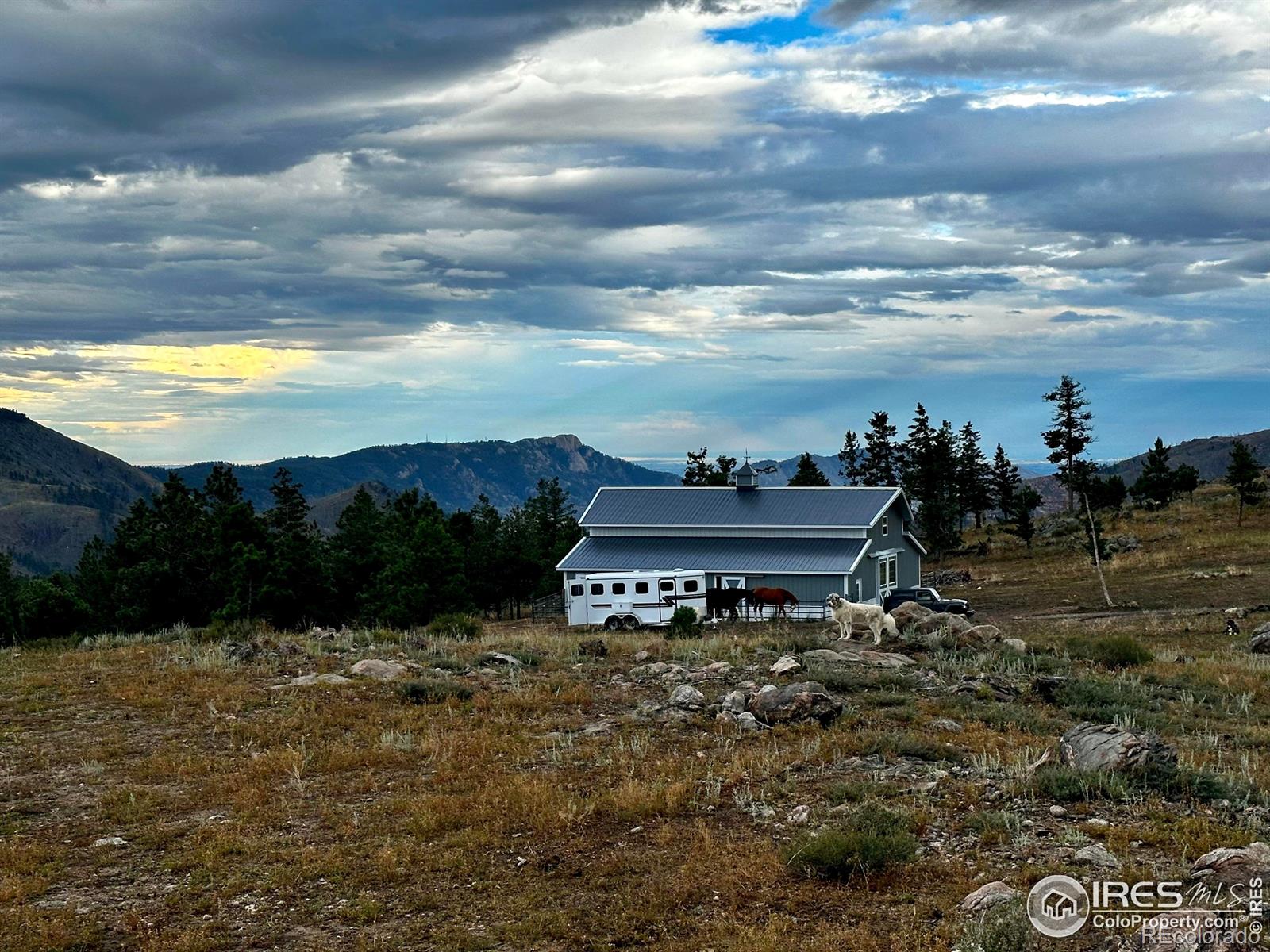 3235 Davis Ranch Road Bellvue CO 80512