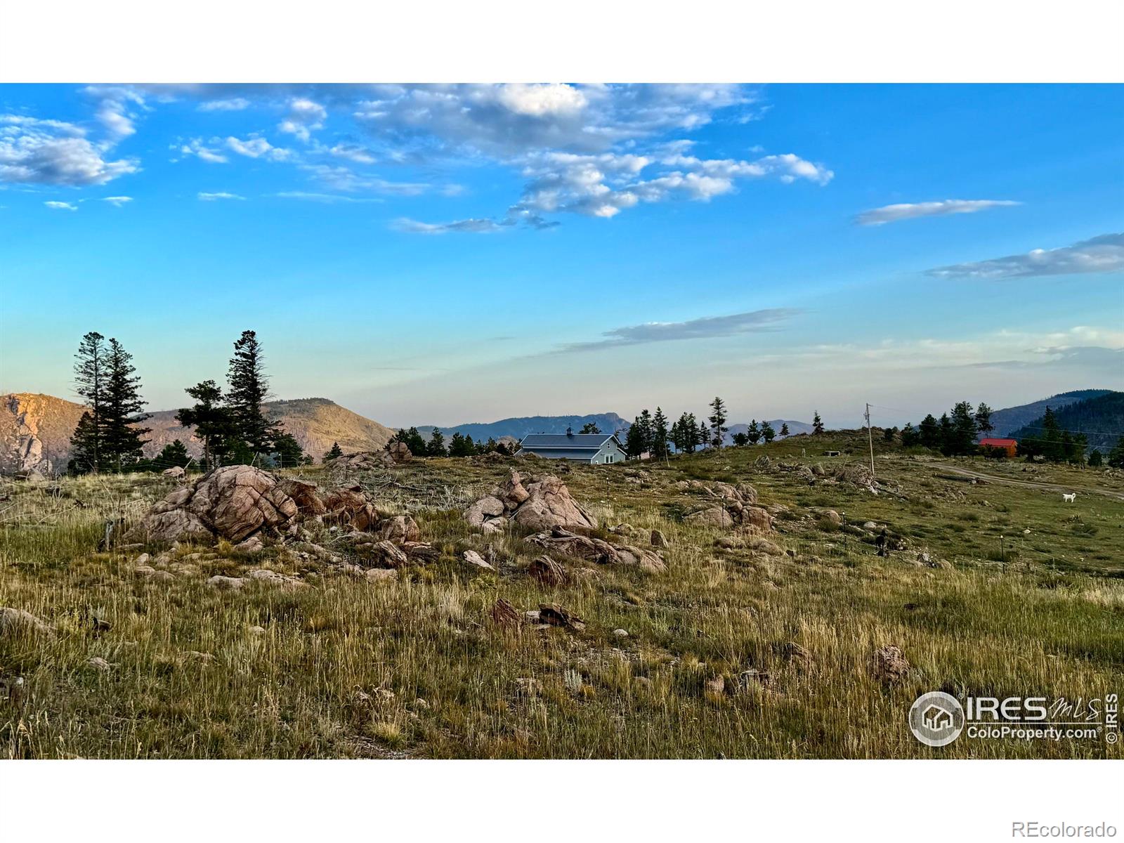 3235 Davis Ranch Road Bellvue CO 80512