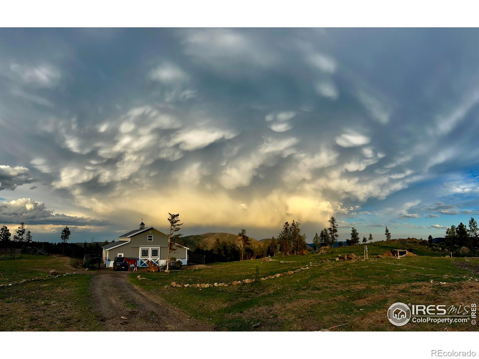 3235 Davis Ranch Road Bellvue CO 80512