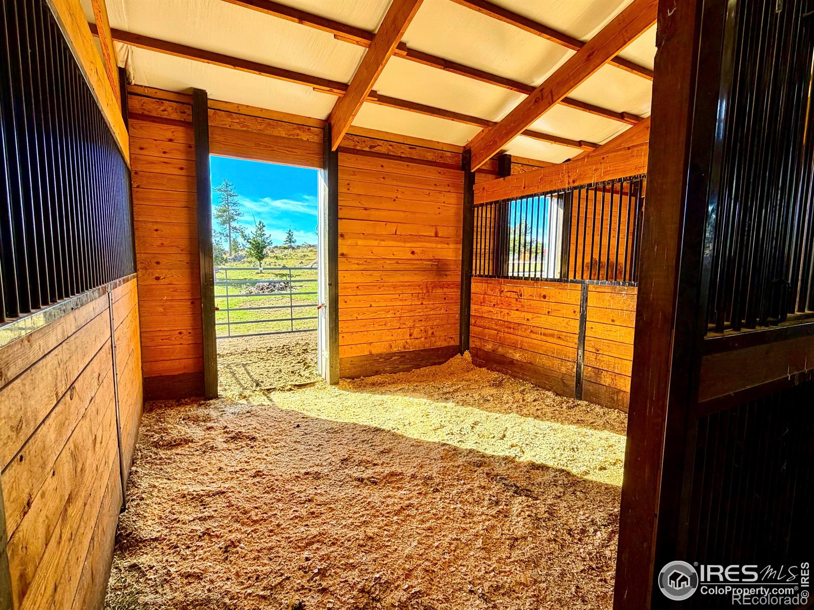 3235 Davis Ranch Road Bellvue CO 80512