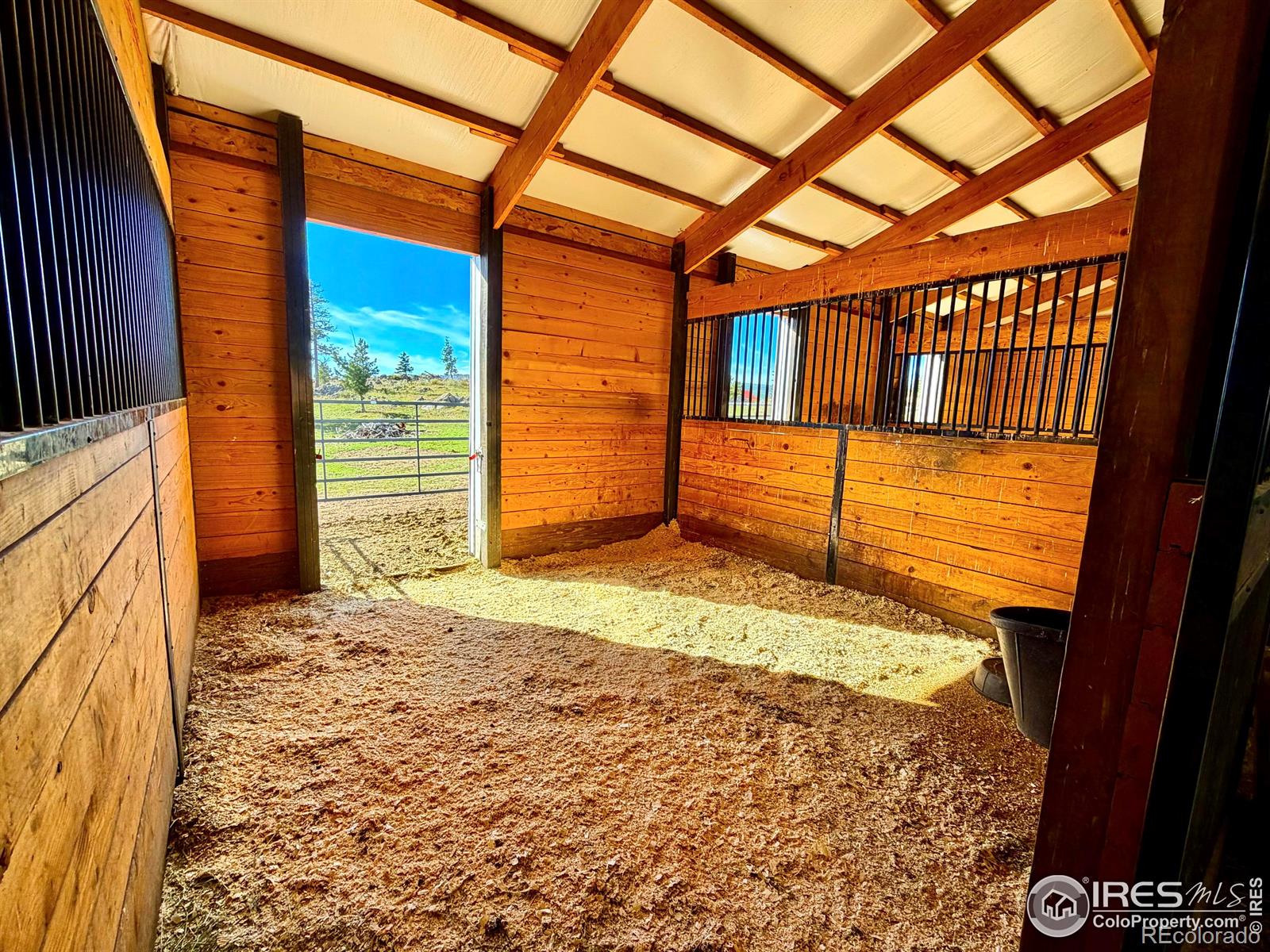 3235 Davis Ranch Road Bellvue CO 80512