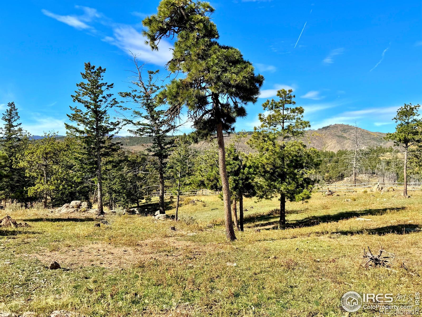 3235 Davis Ranch Road Bellvue CO 80512