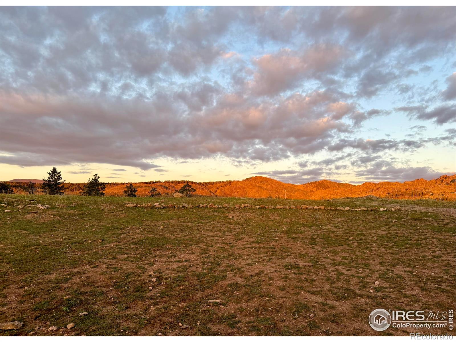 3235 Davis Ranch Road Bellvue CO 80512