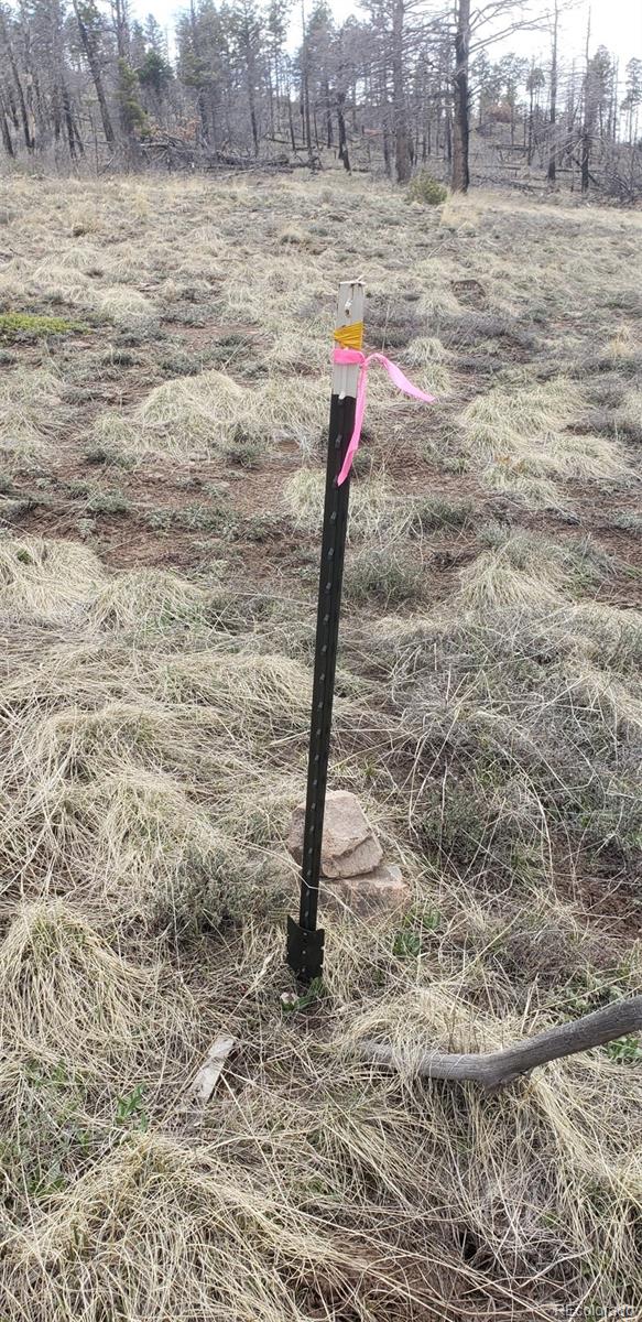 Lot 179 Duffy Lane Fort Garland CO 81133