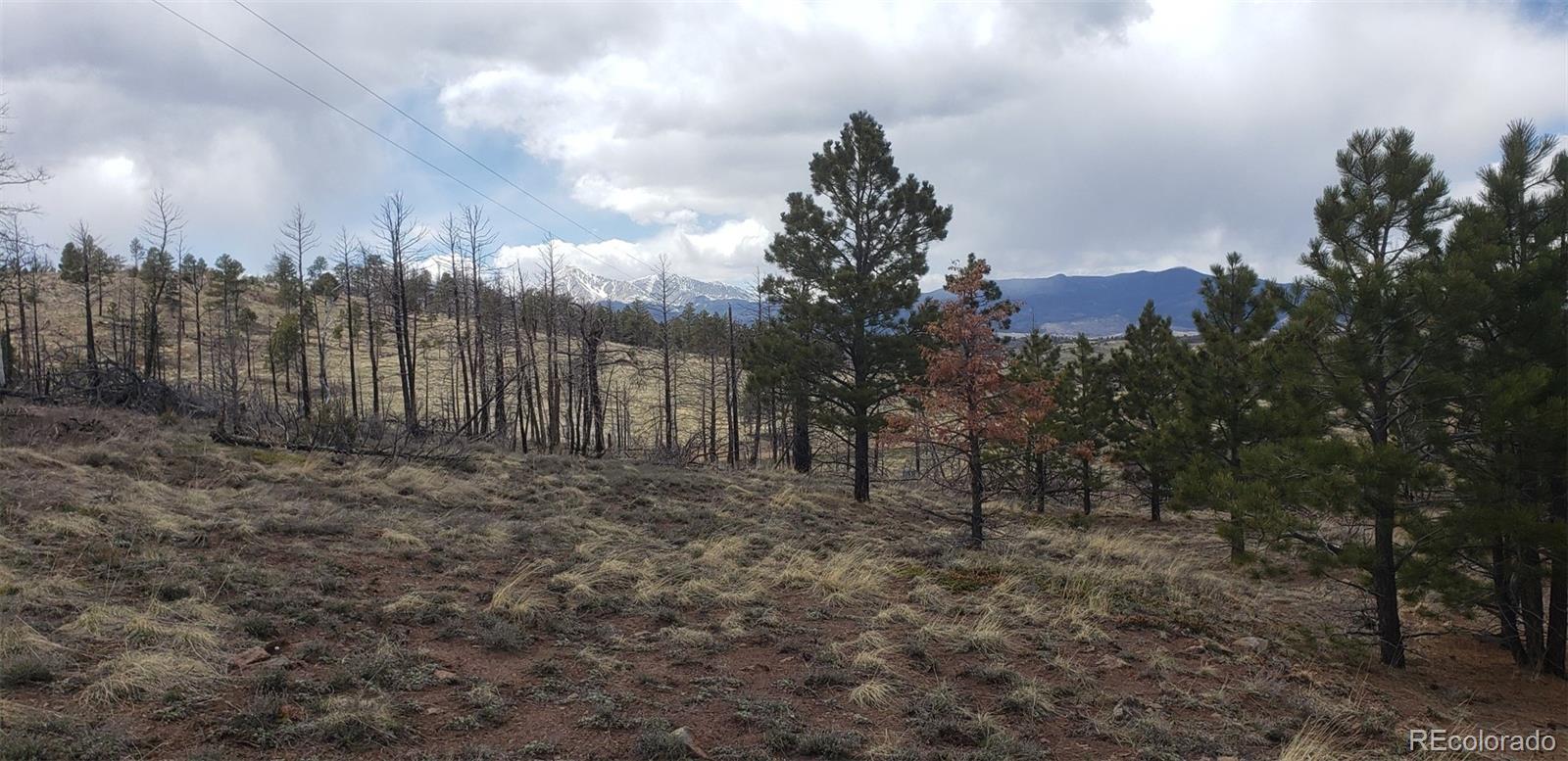 Lot 179 Duffy Lane Fort Garland CO 81133