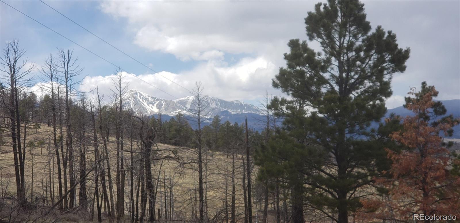 Lot 179 Duffy Lane Fort Garland CO 81133