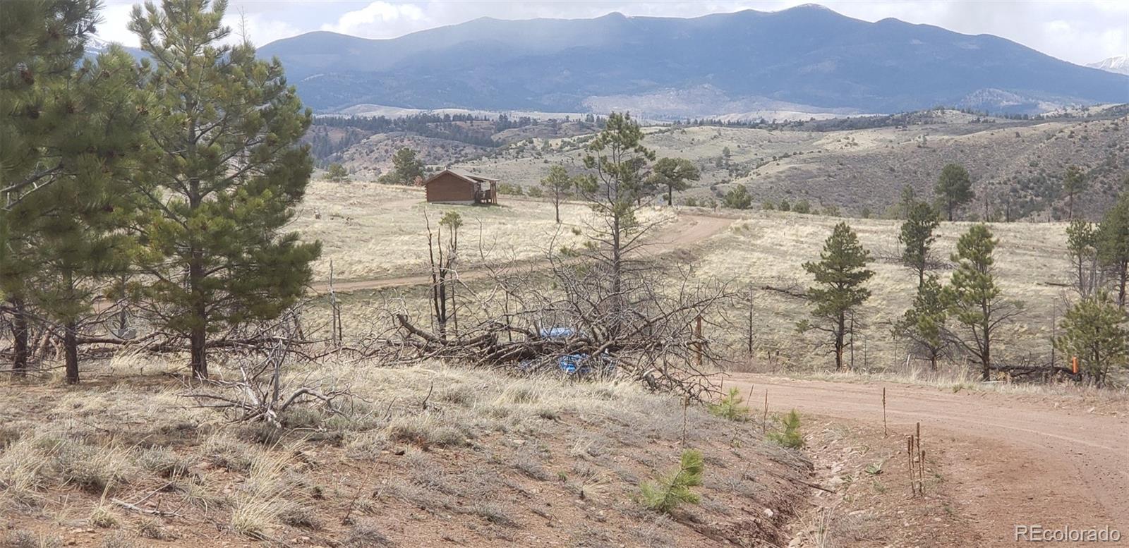 Lot 179 Duffy Lane Fort Garland CO 81133