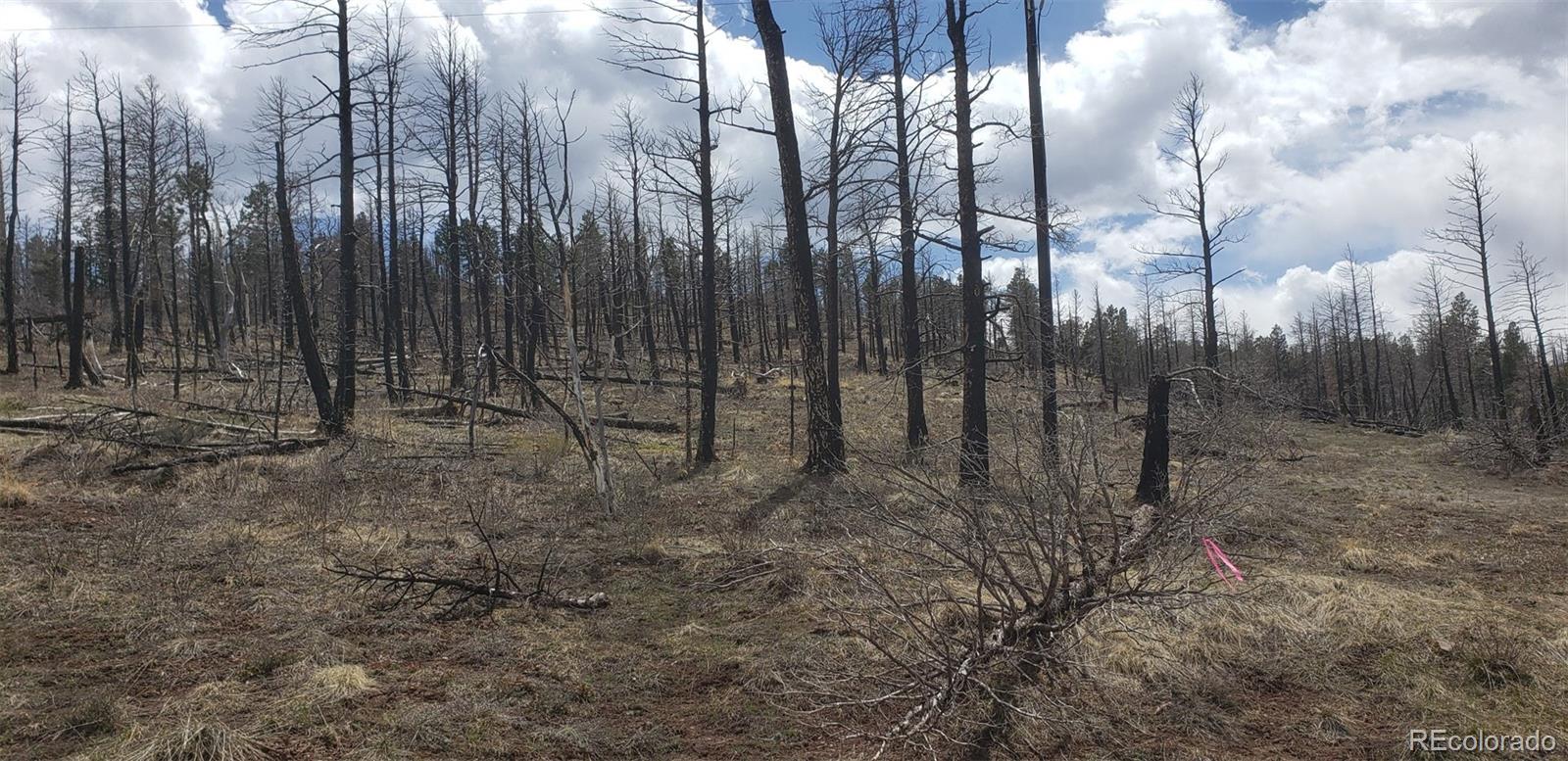 Lot 179 Duffy Lane Fort Garland CO 81133