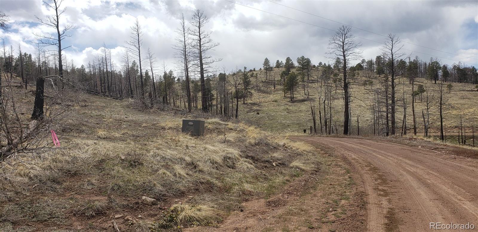Lot 179 Duffy Lane Fort Garland CO 81133