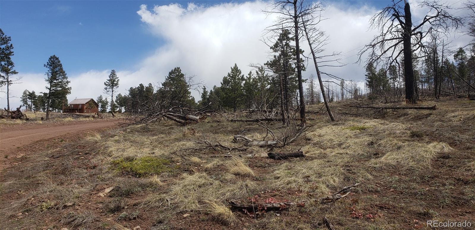 Lot 179 Duffy Lane Fort Garland CO 81133