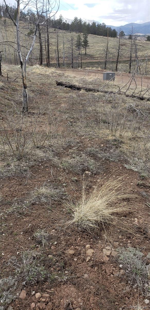 Lot 179 Duffy Lane Fort Garland CO 81133