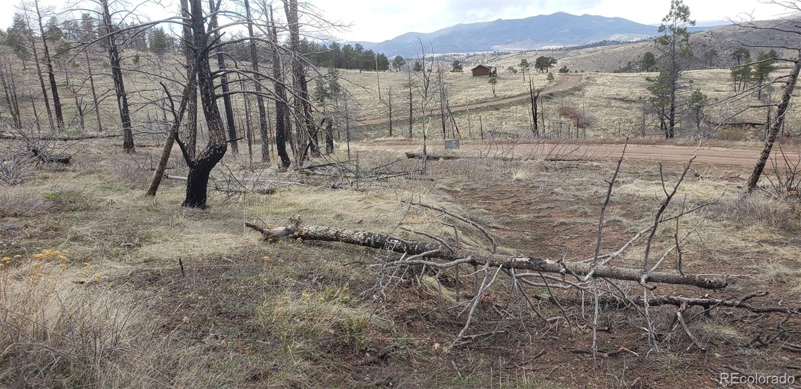 Lot 179 Duffy Lane Fort Garland CO 81133