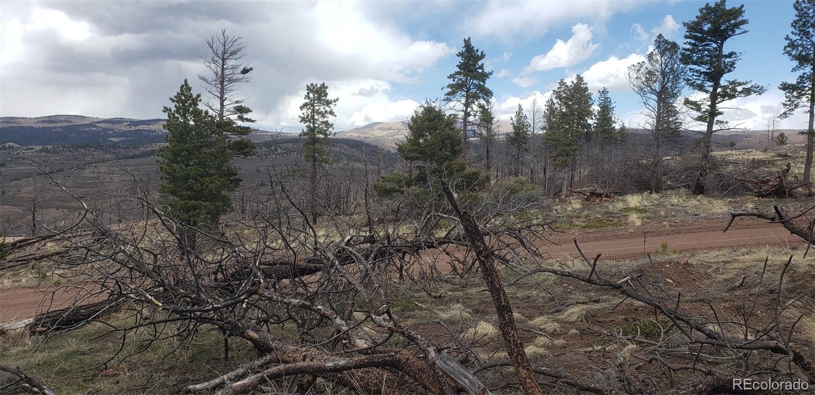 Lot 179 Duffy Lane Fort Garland CO 81133