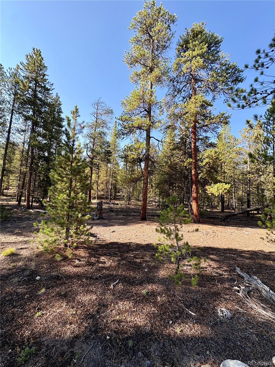 776 Birch Drive Twin Lakes CO 80461