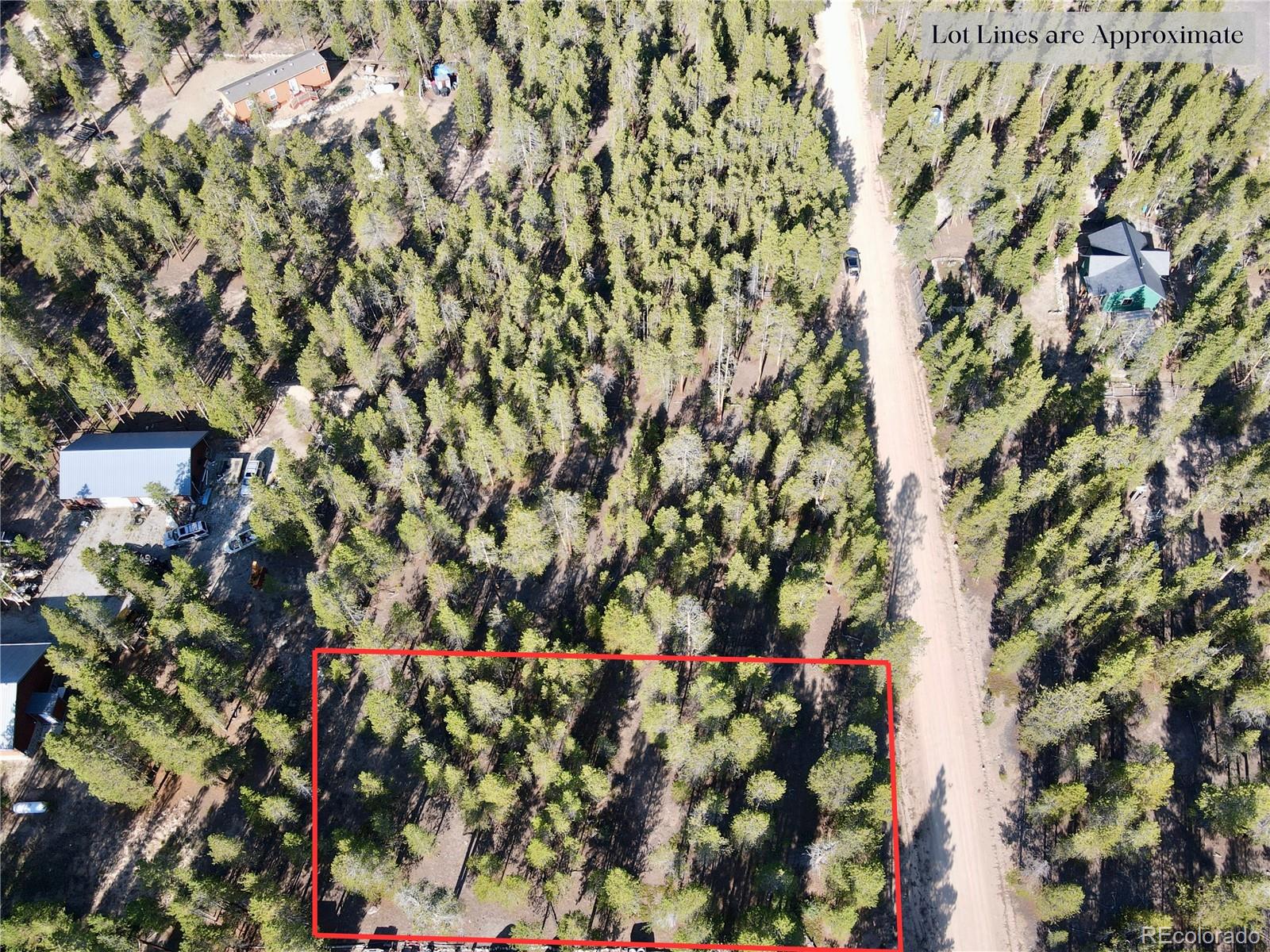 776 Birch Drive Twin Lakes CO 80461