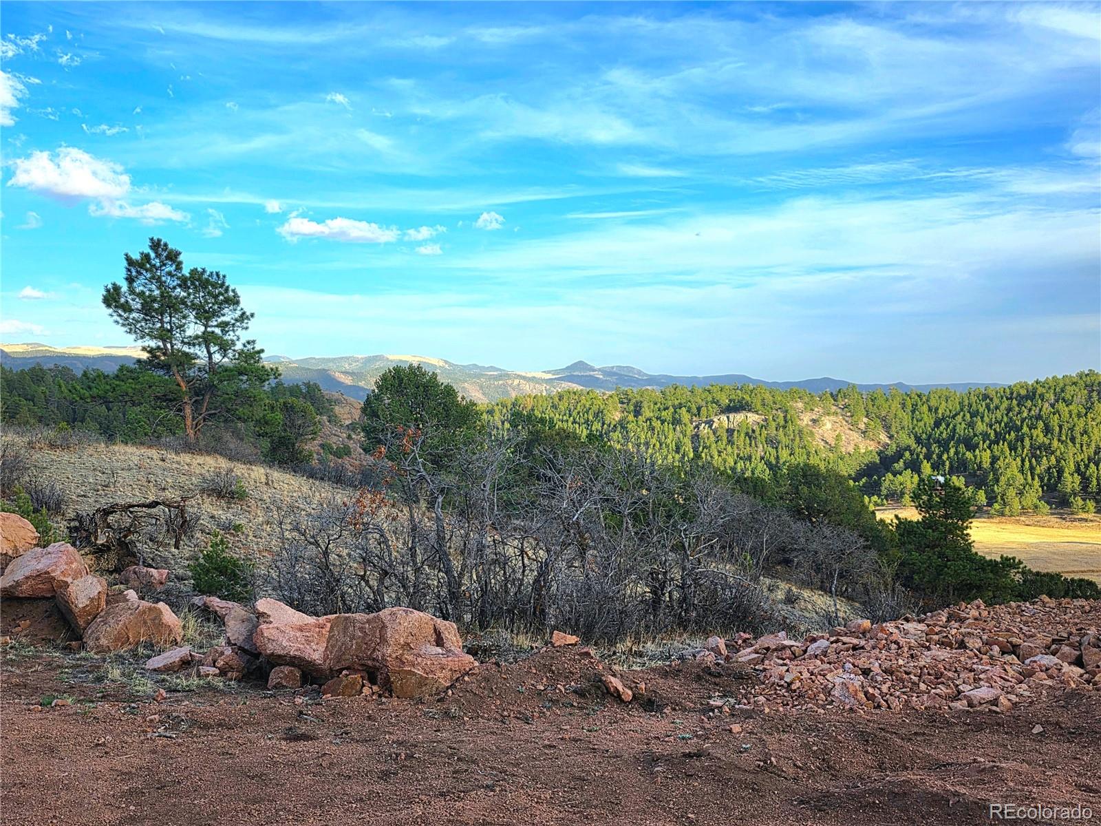 204 Pine Road Florissant CO 80816