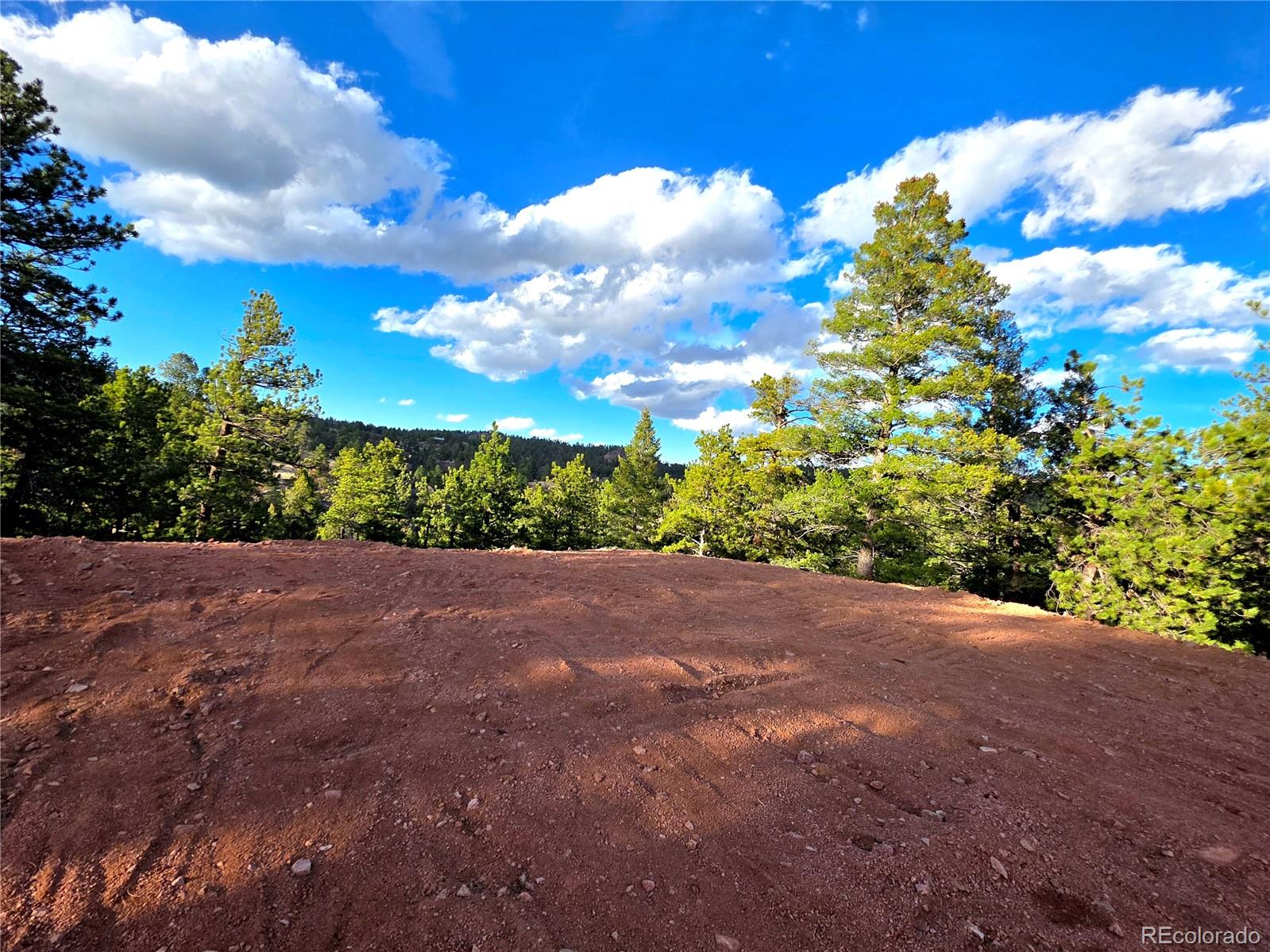204 Pine Road Florissant CO 80816