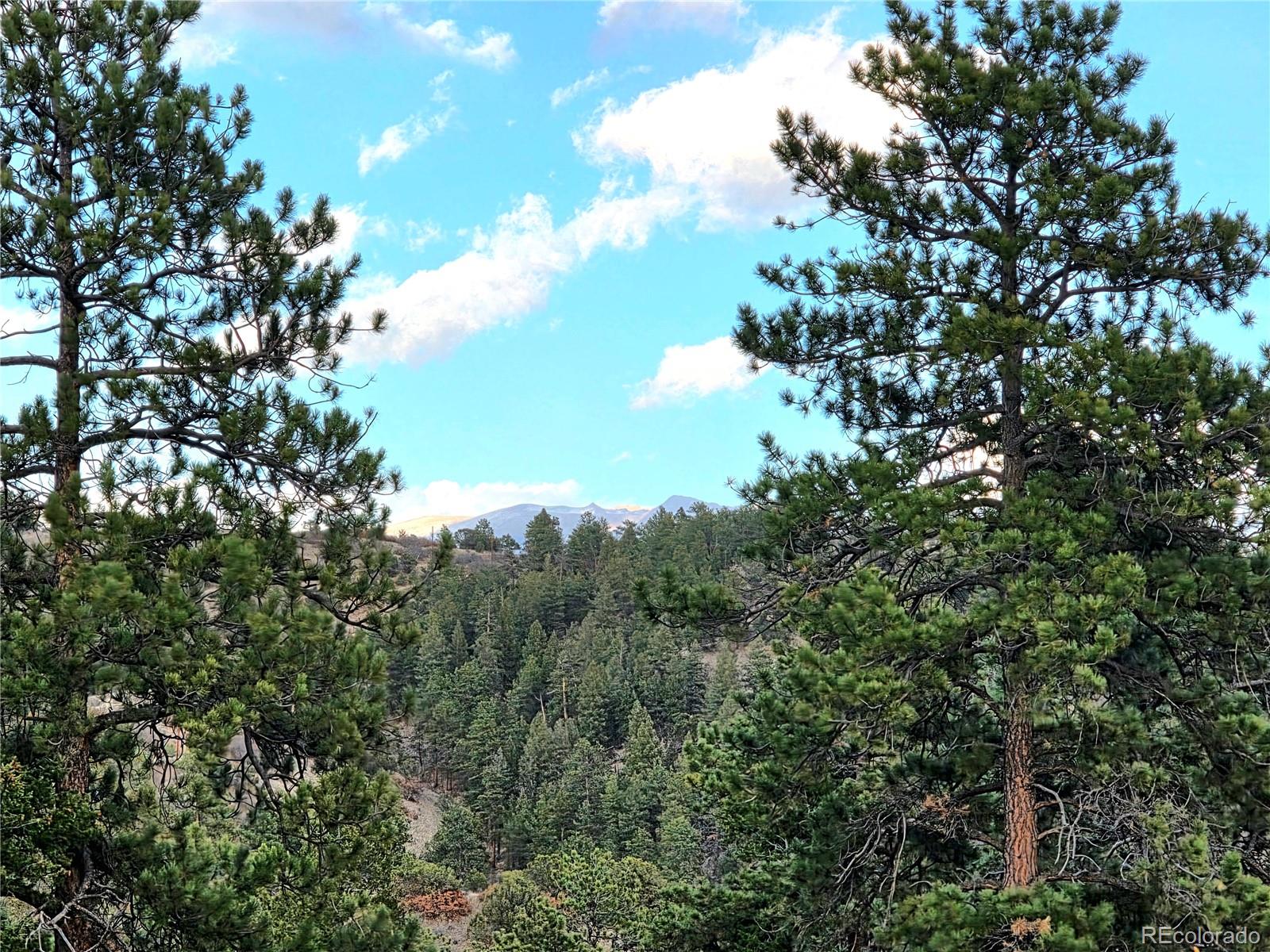 204 Pine Road Florissant CO 80816