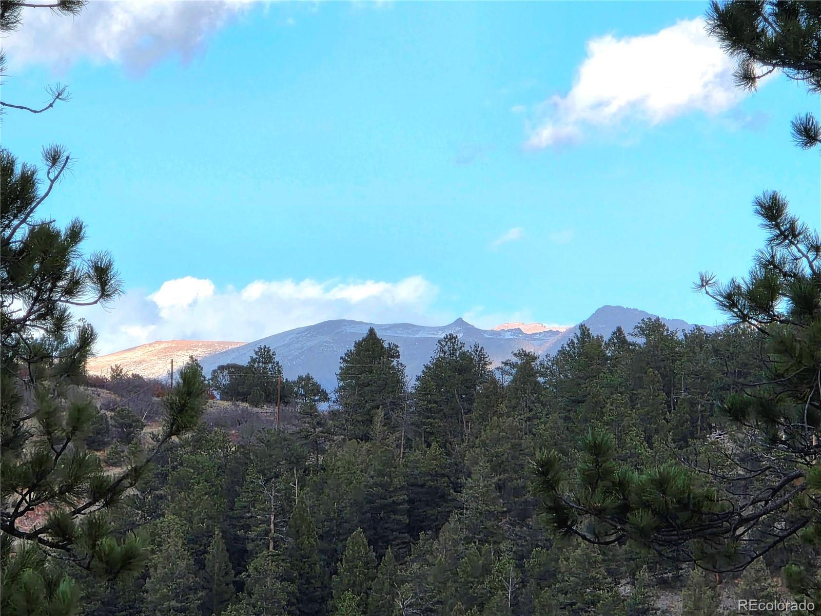 204 Pine Road Florissant CO 80816
