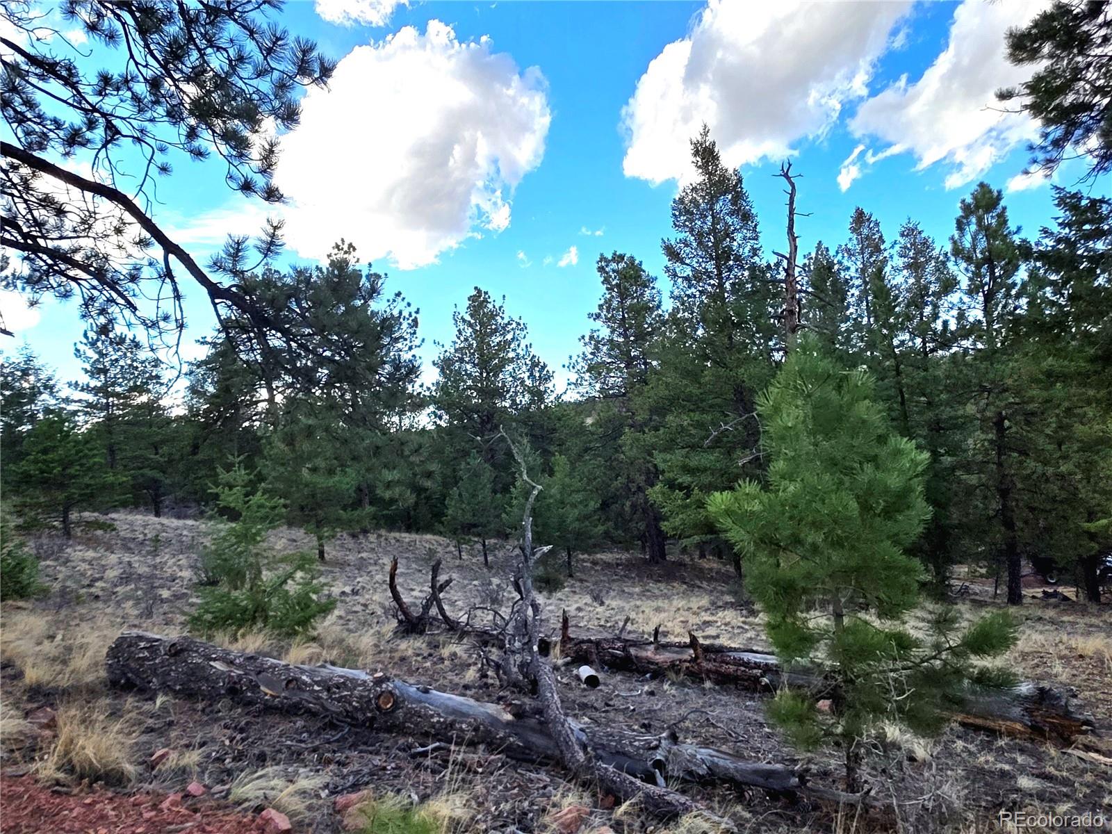 204 Pine Road Florissant CO 80816