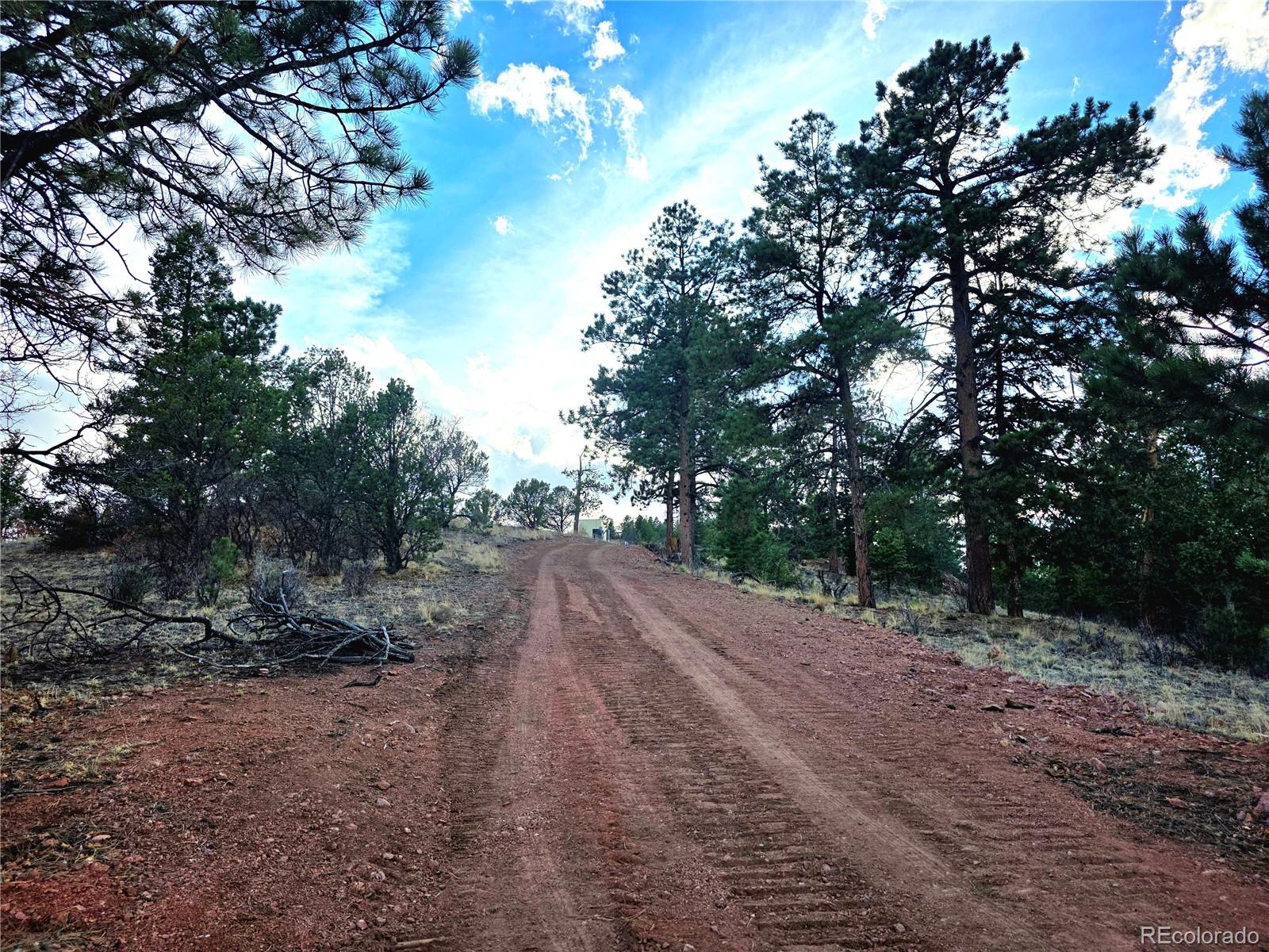 204 Pine Road Florissant CO 80816