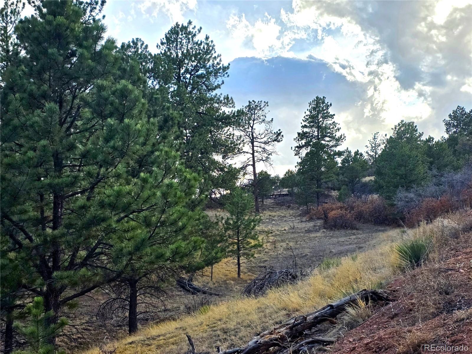 204 Pine Road Florissant CO 80816