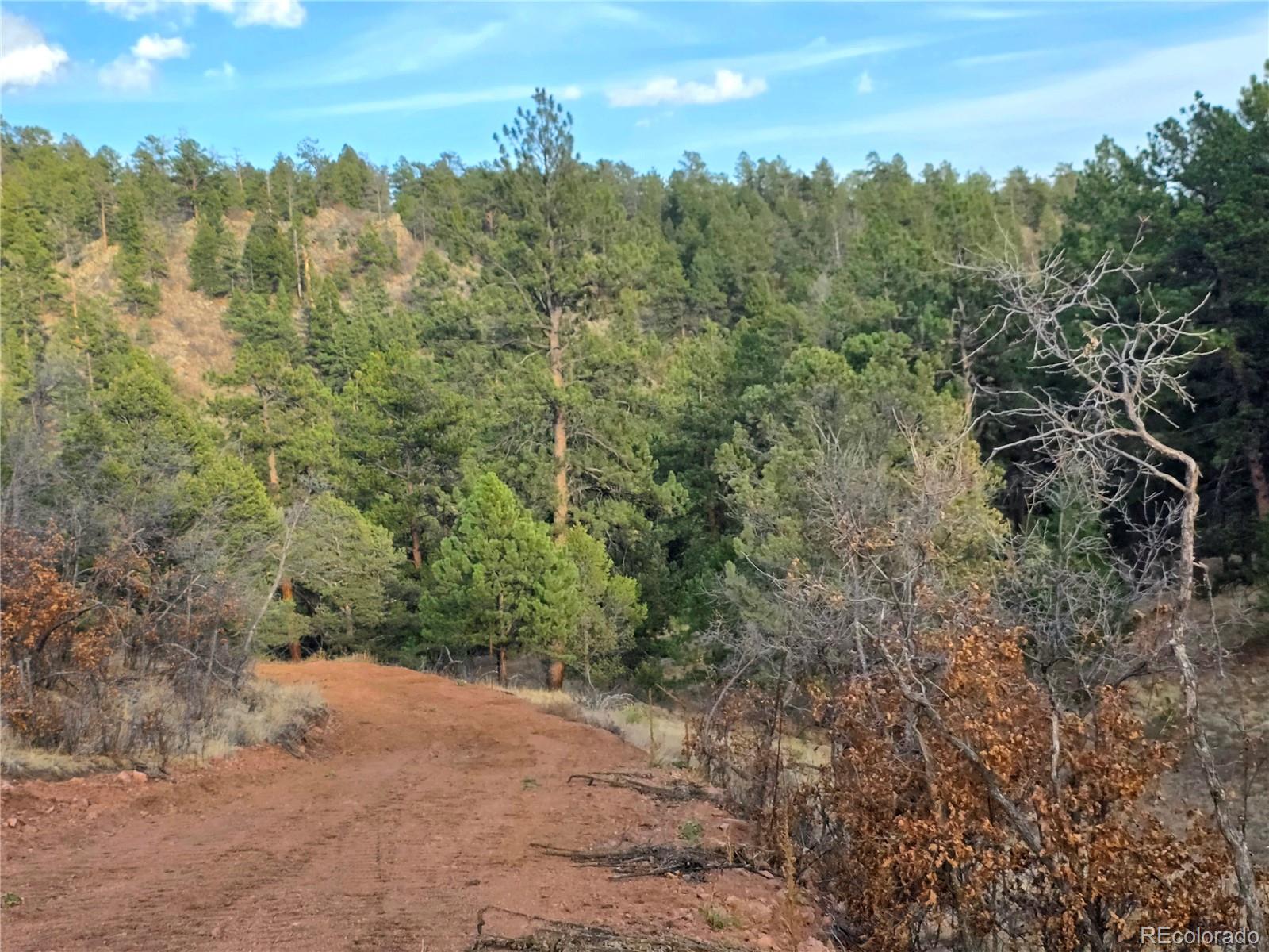 204 Pine Road Florissant CO 80816