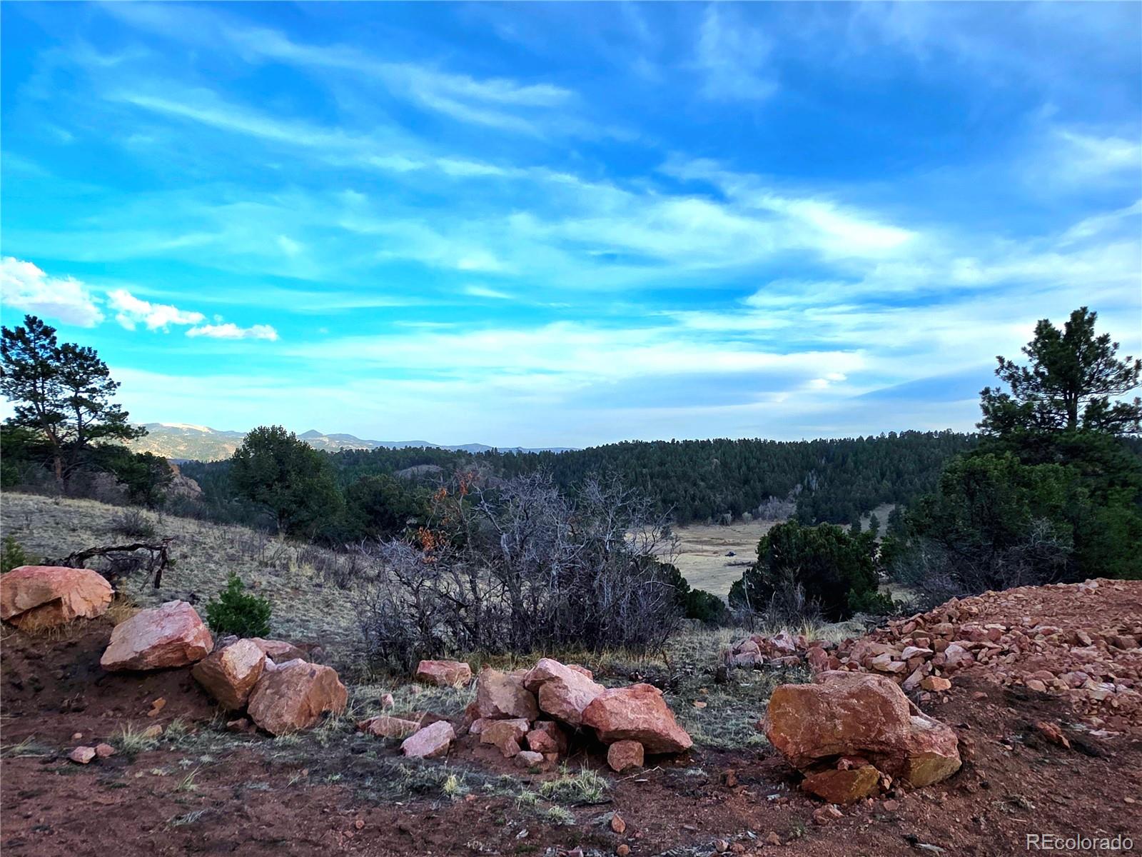 204 Pine Road Florissant CO 80816