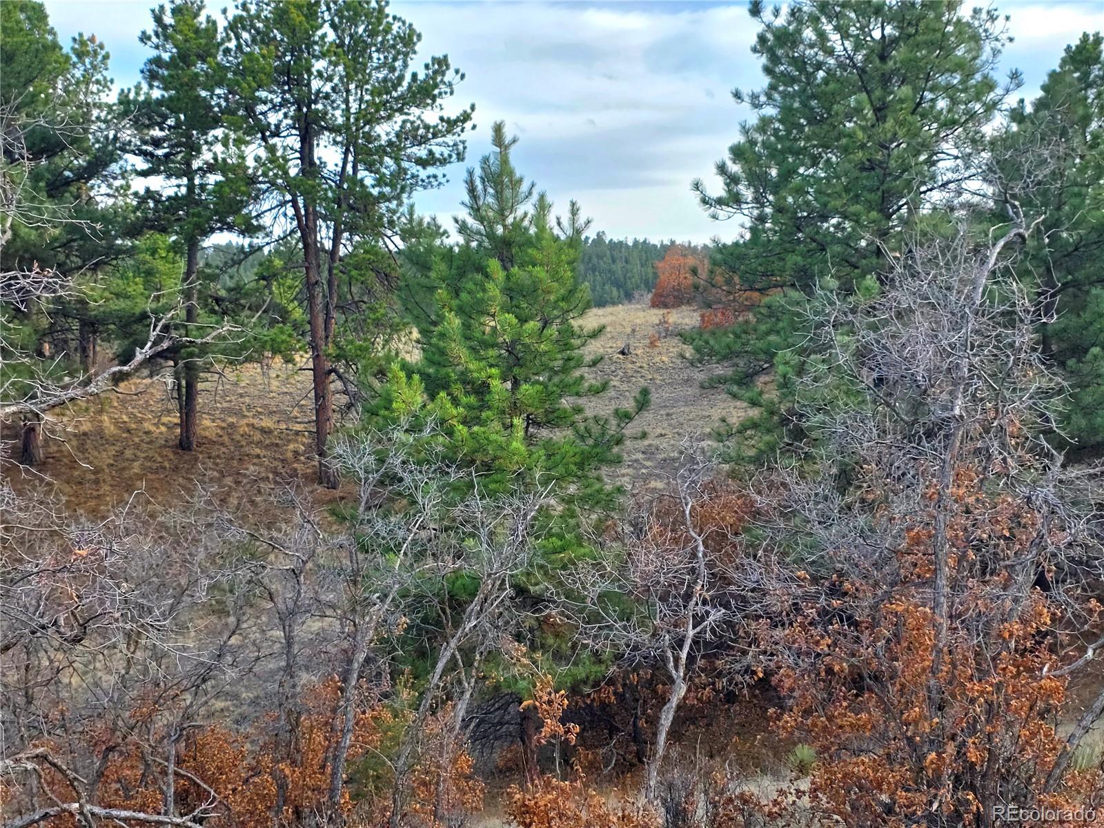 204 Pine Road Florissant CO 80816