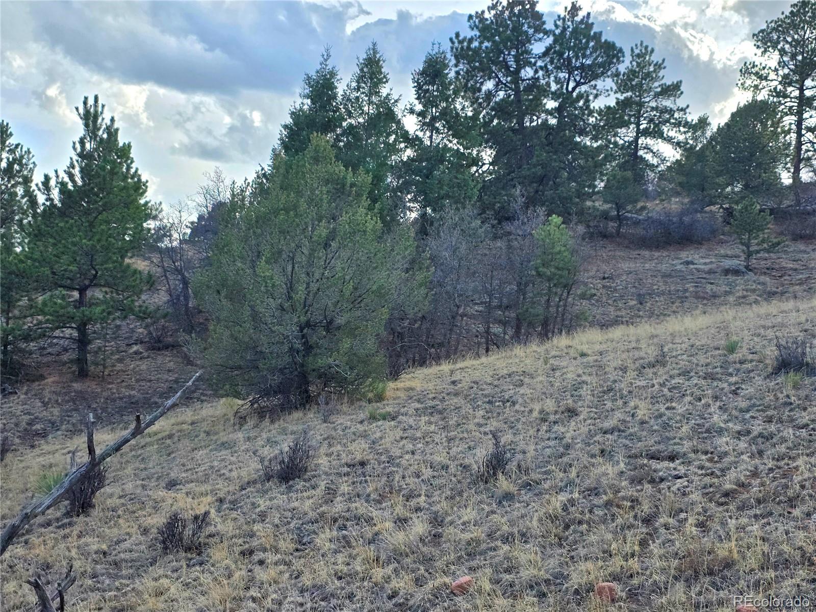 204 Pine Road Florissant CO 80816