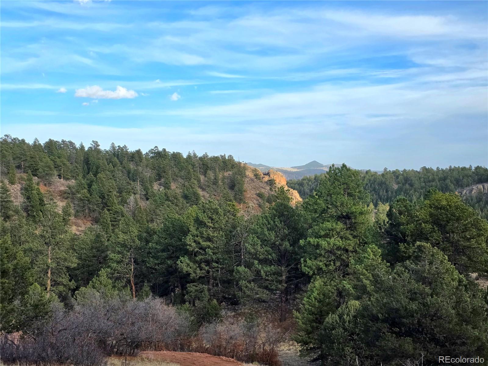 204 Pine Road Florissant CO 80816