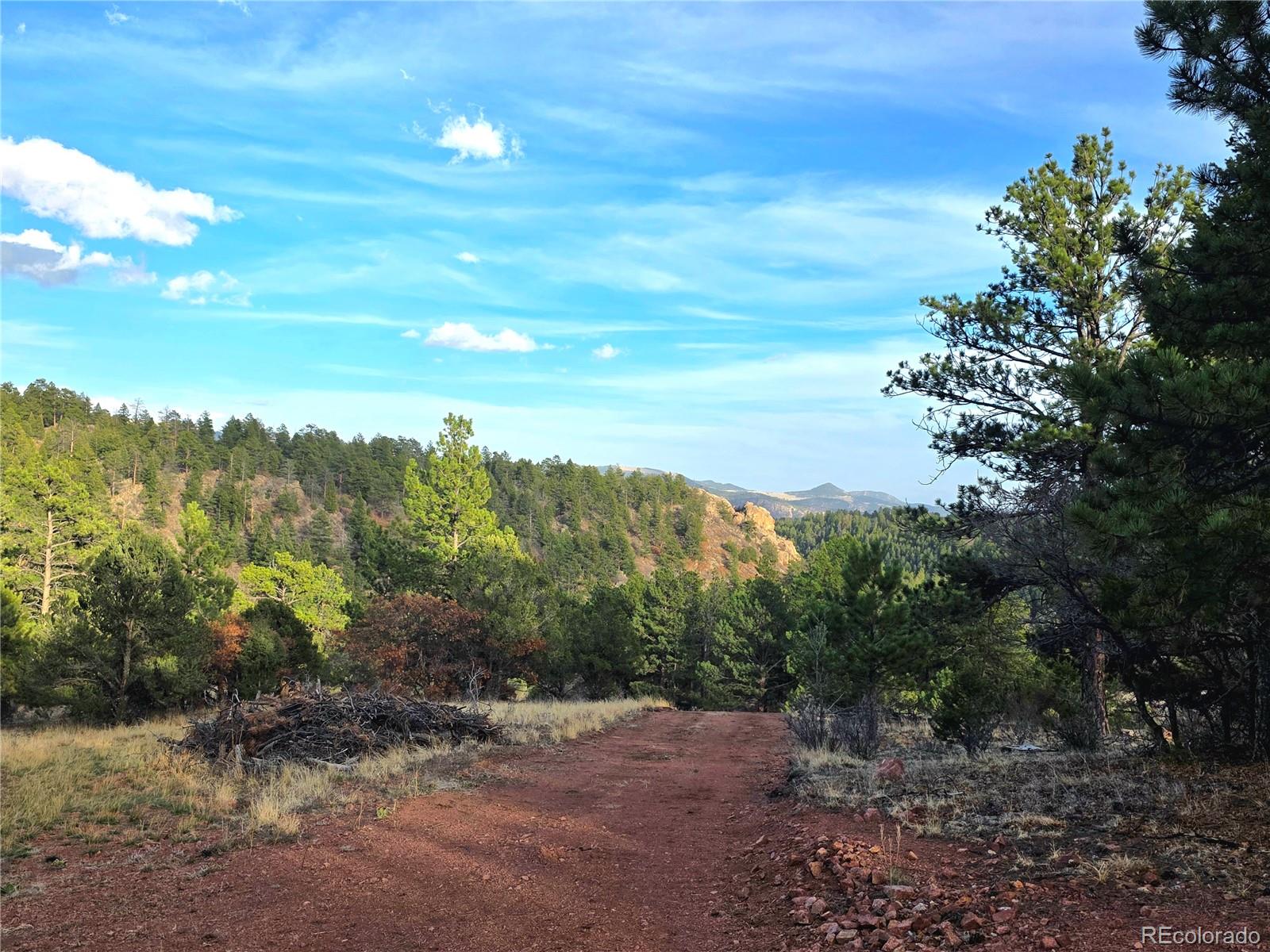 204 Pine Road Florissant CO 80816