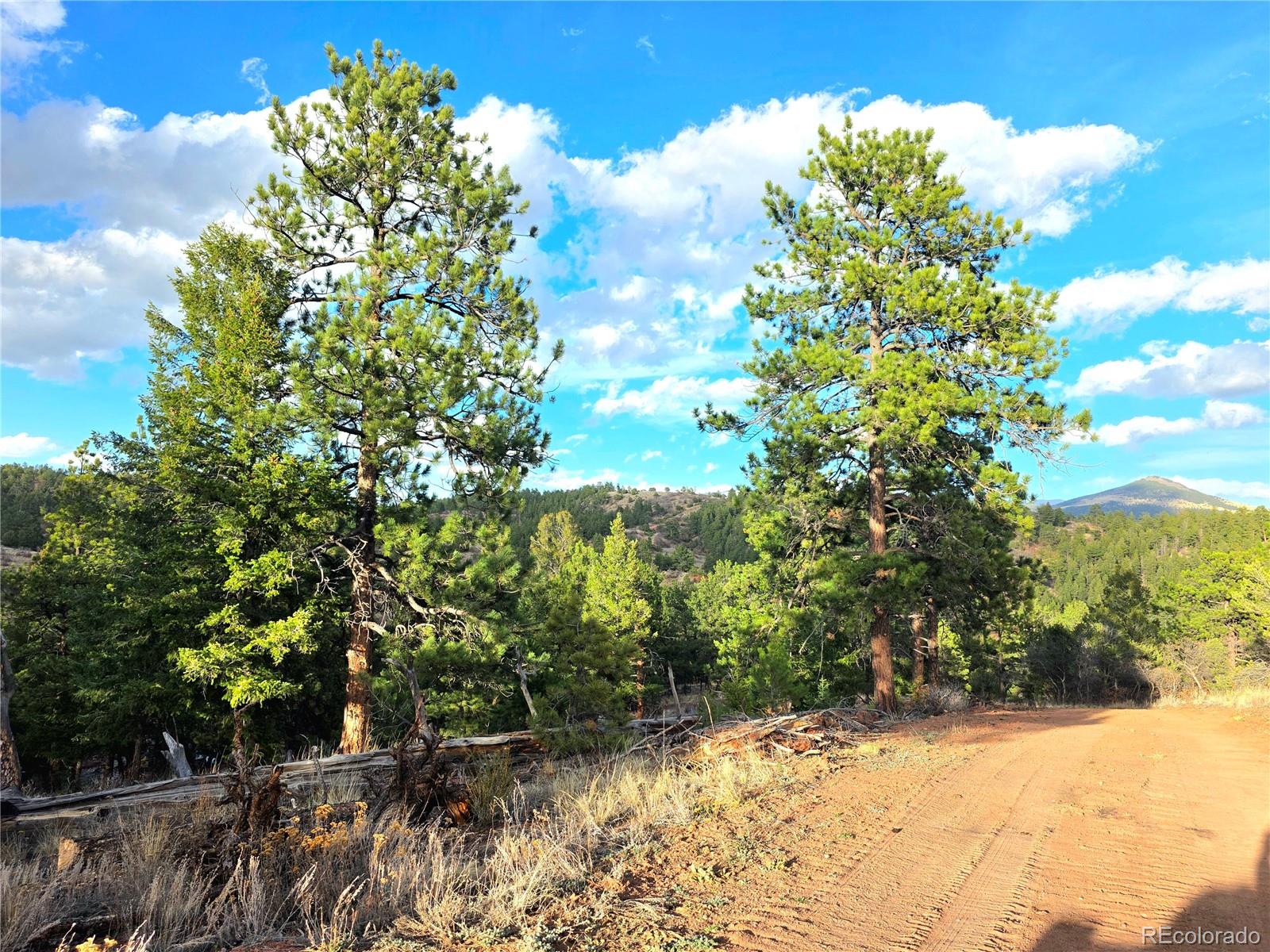 204 Pine Road Florissant CO 80816