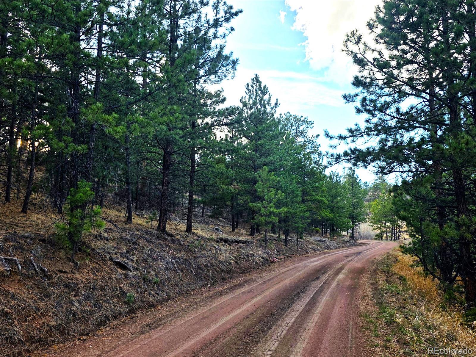 204 Pine Road Florissant CO 80816