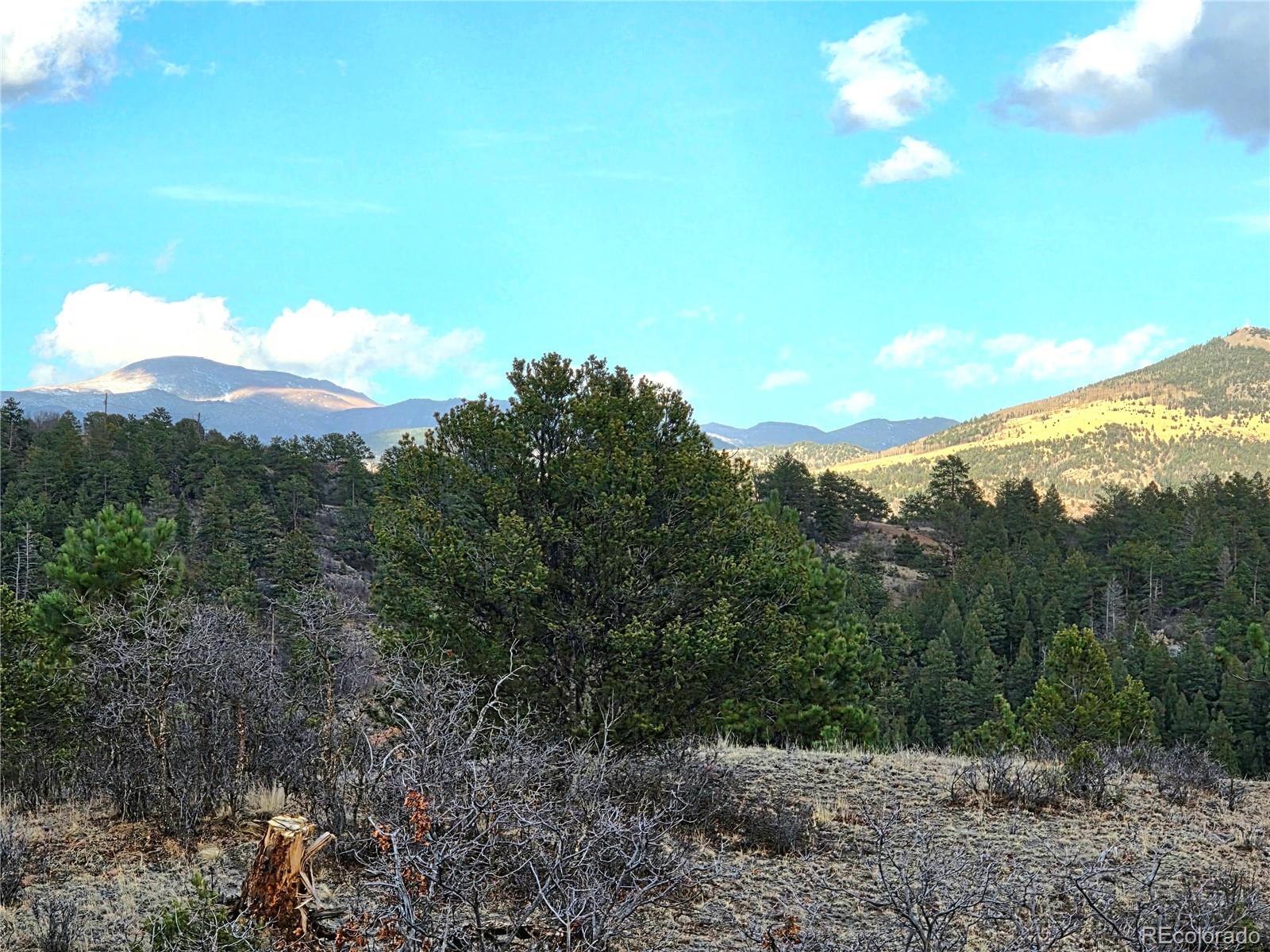204 Pine Road Florissant CO 80816