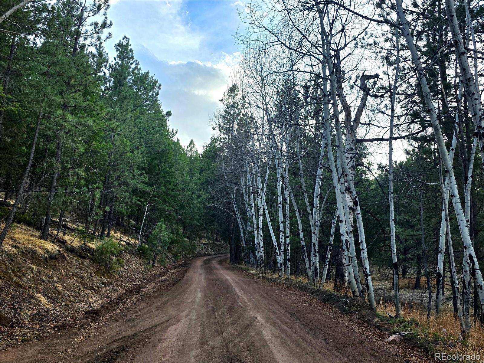204 Pine Road Florissant CO 80816