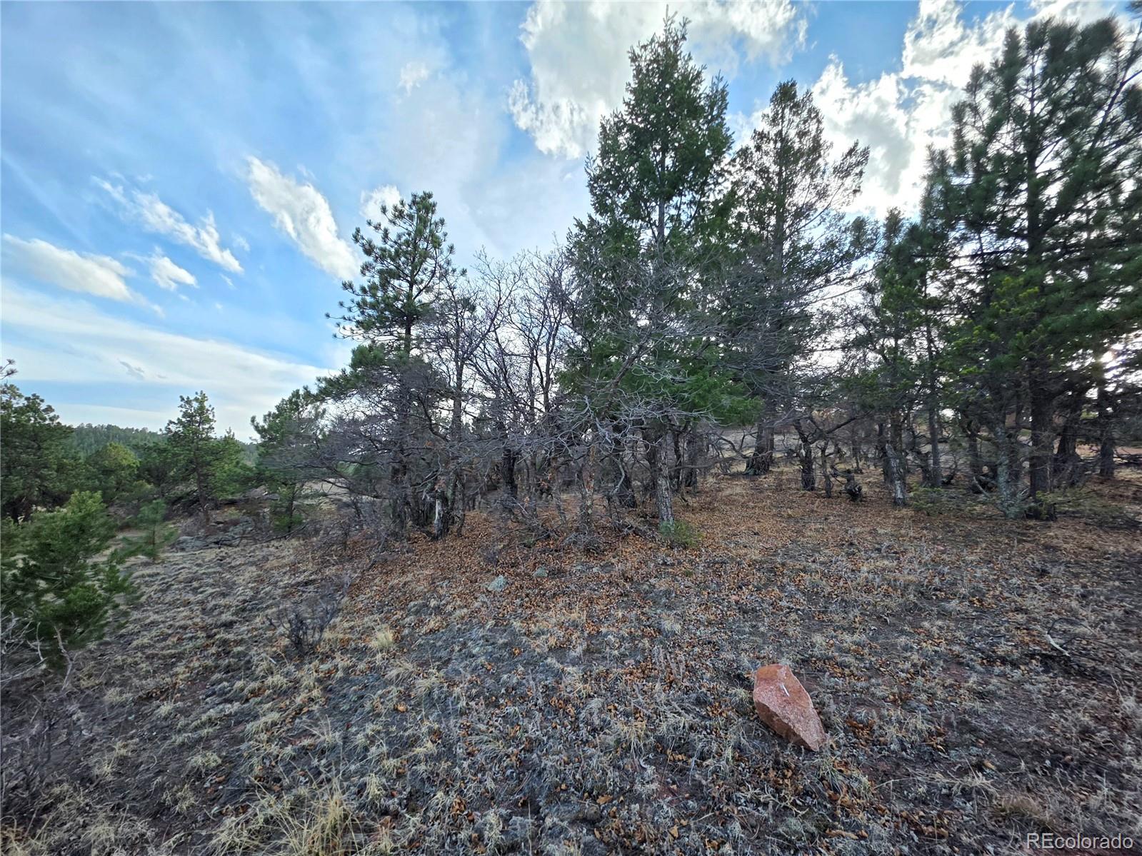 204 Pine Road Florissant CO 80816