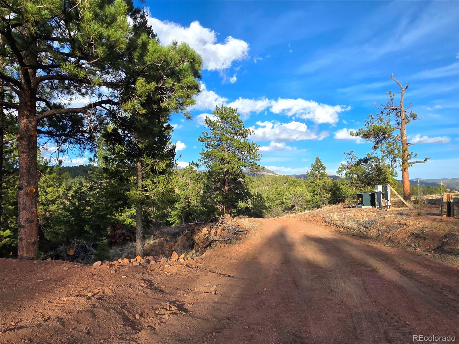 204 Pine Road Florissant CO 80816