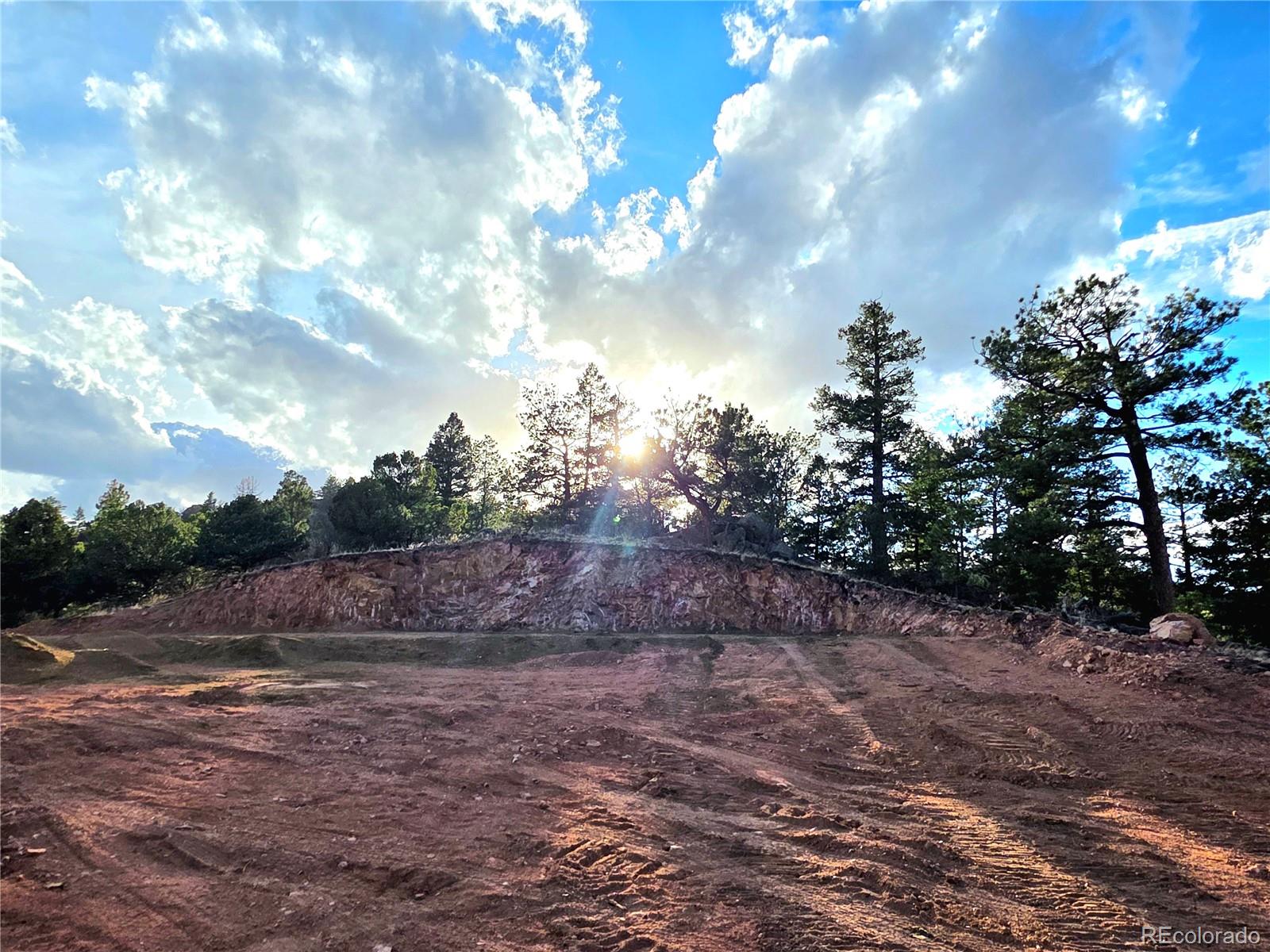 204 Pine Road Florissant CO 80816
