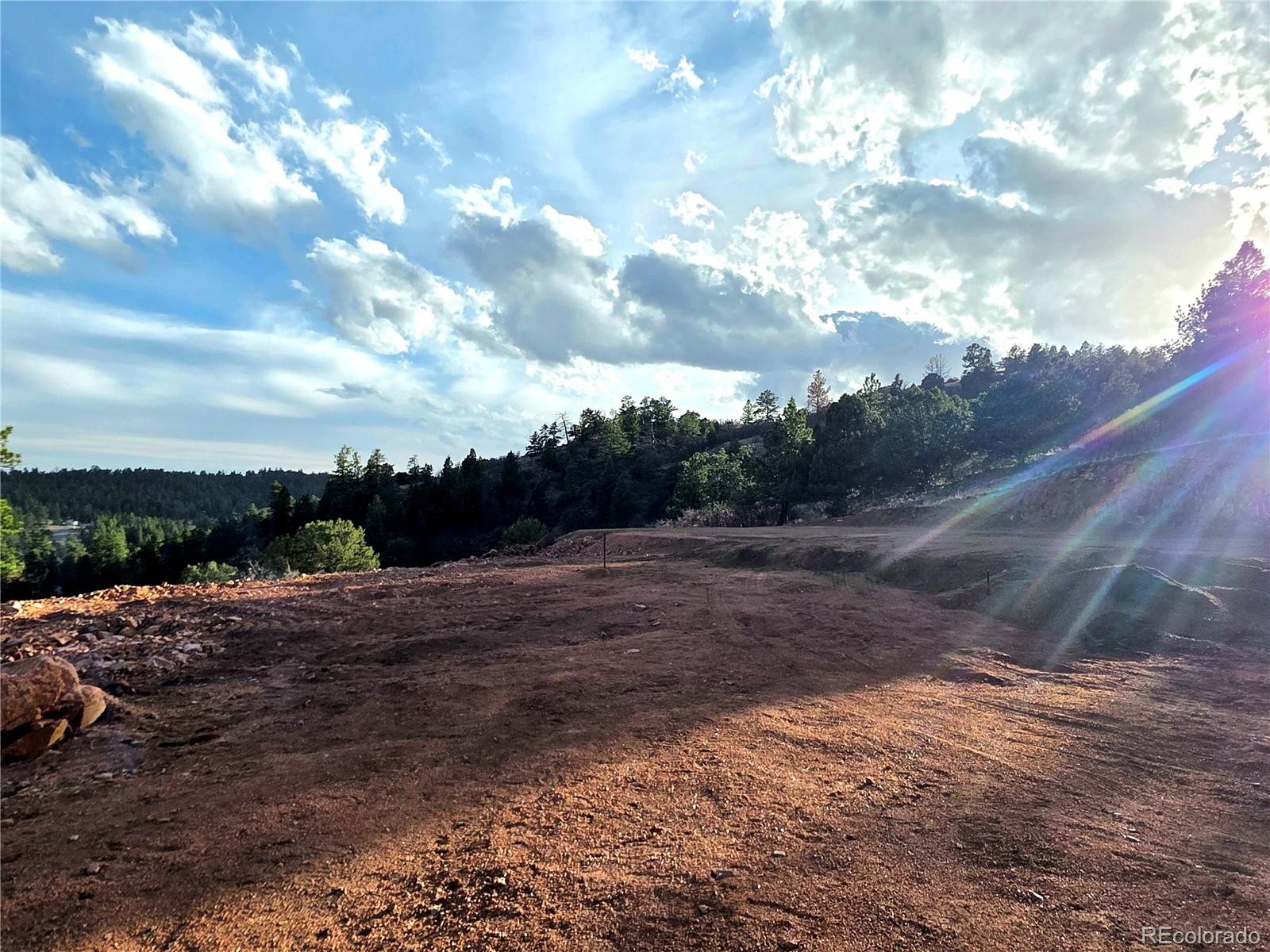 204 Pine Road Florissant CO 80816