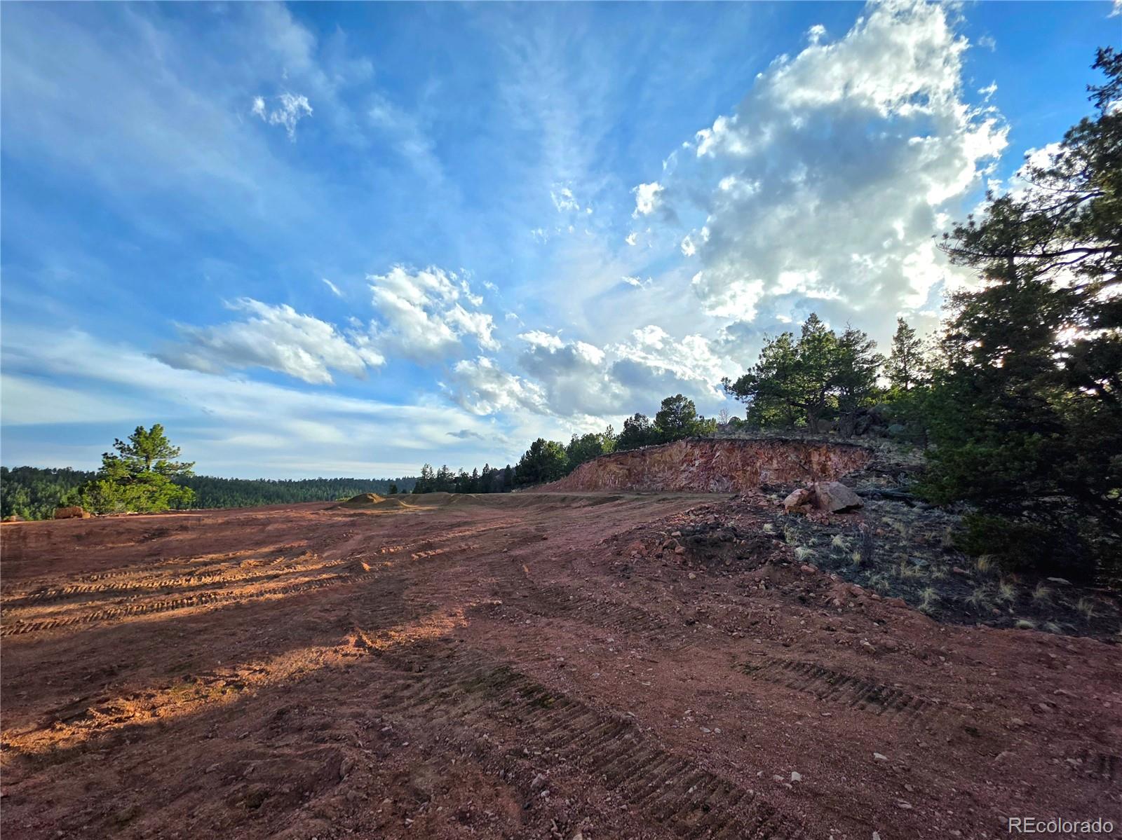 204 Pine Road Florissant CO 80816