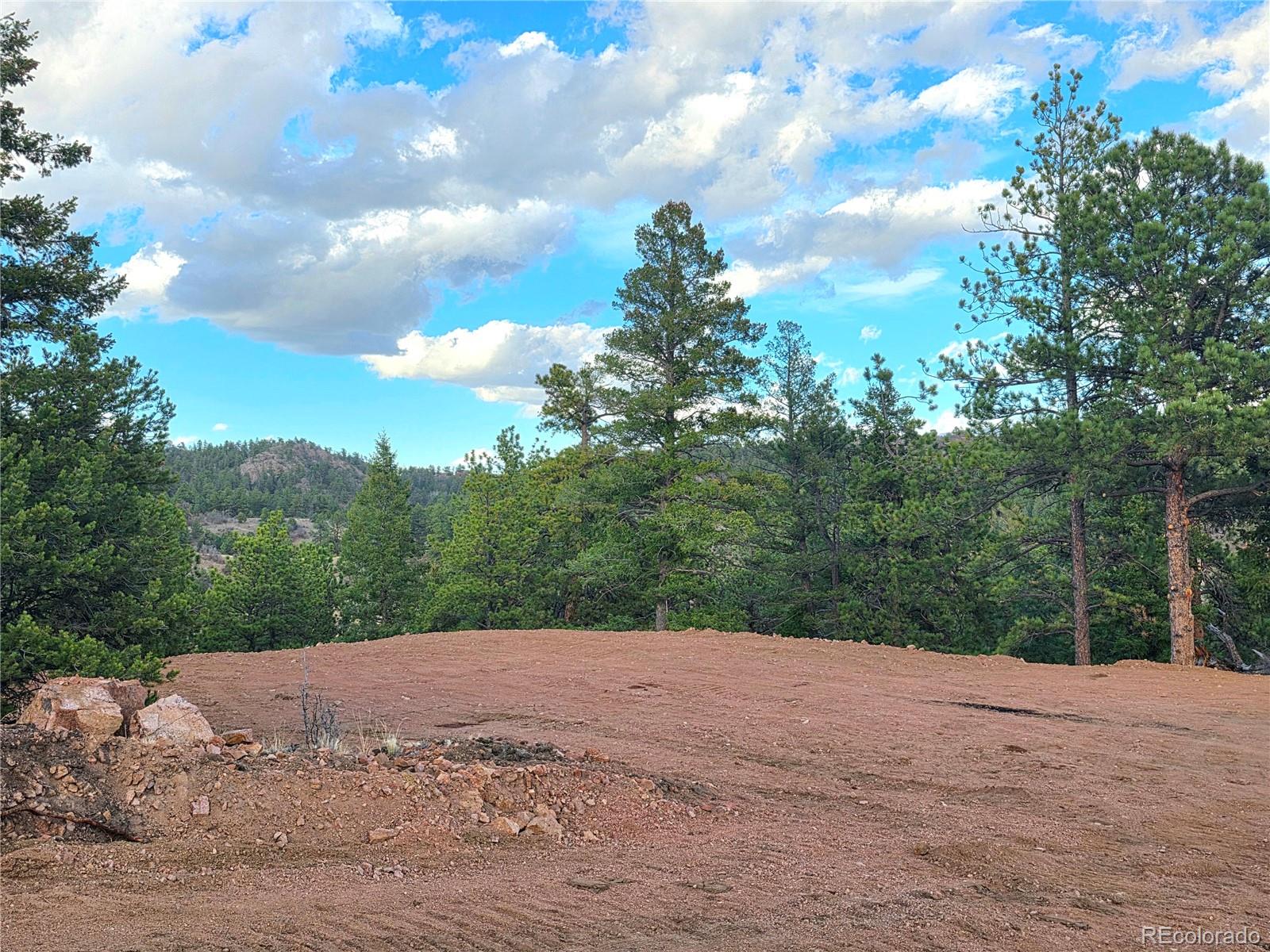 204 Pine Road Florissant CO 80816