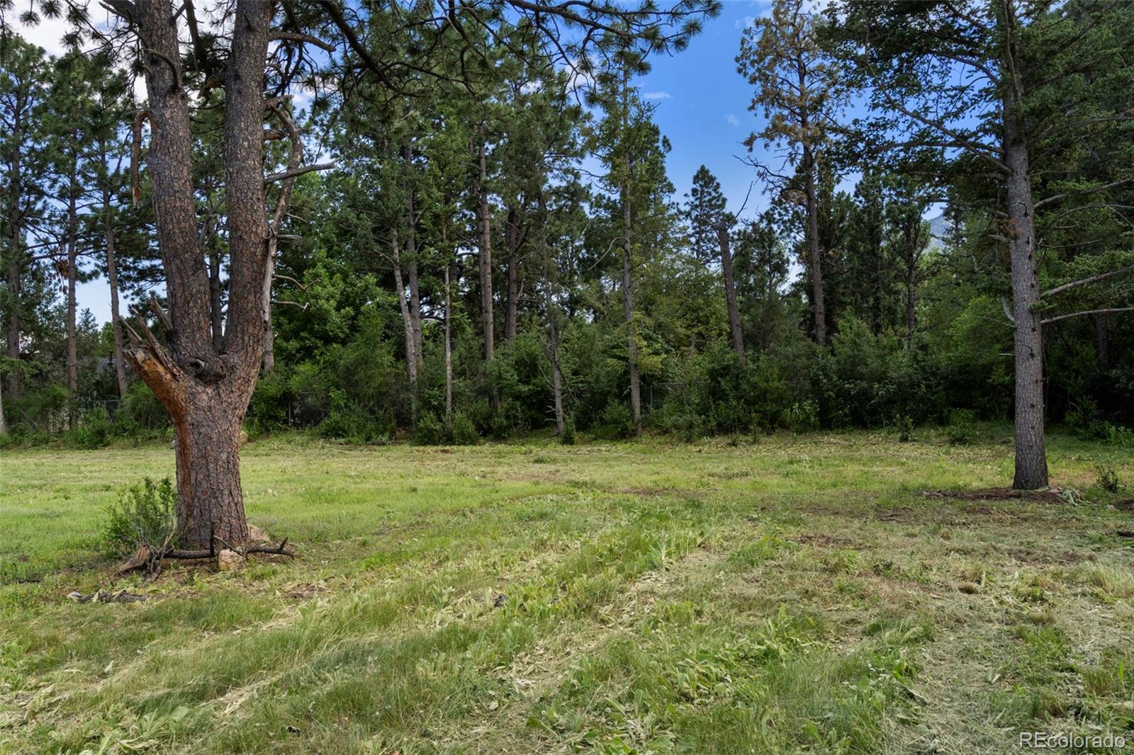 34 Marland Road Colorado Springs CO 80906