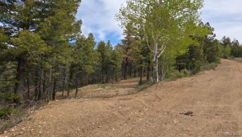 Lot 5825 Covington Road Fort Garland CO 81133