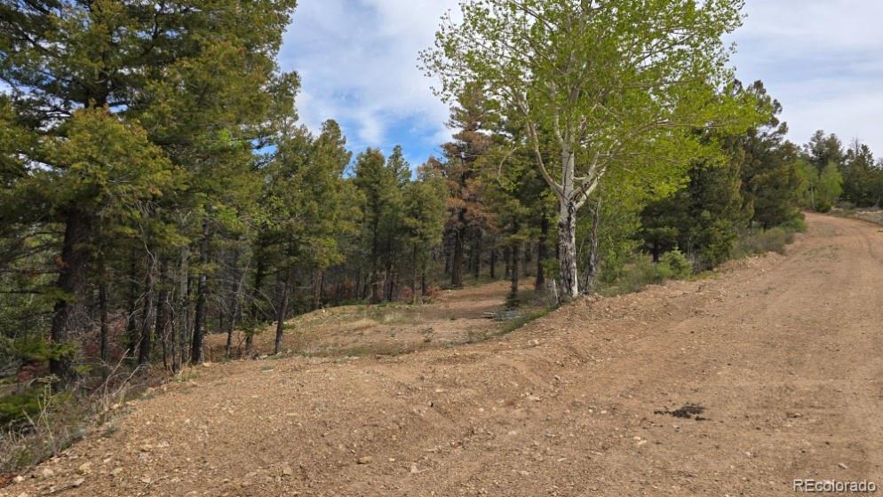 Lot 5825 Covington Road Fort Garland CO 81133