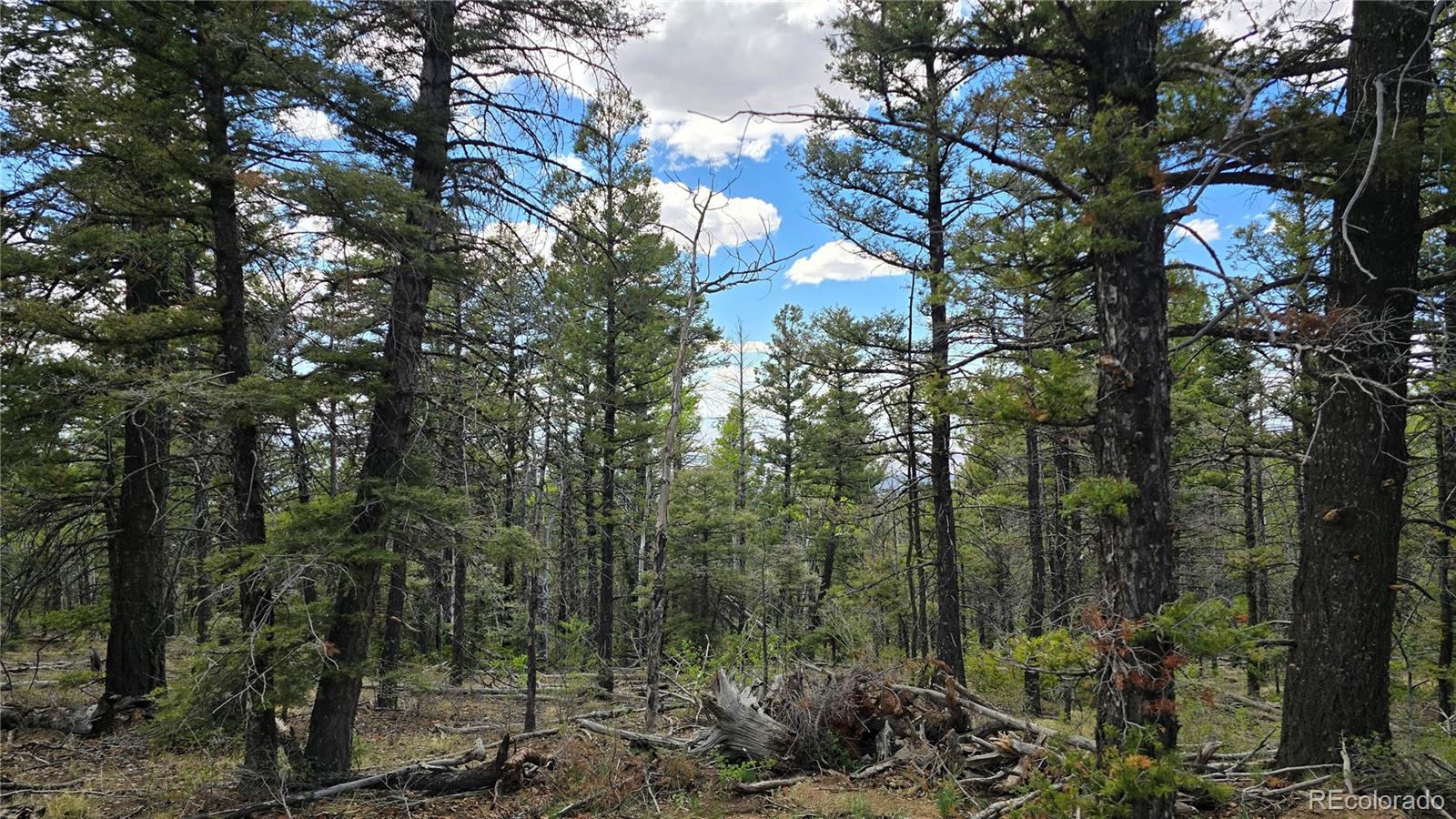 Lot 5825 Covington Road Fort Garland CO 81133