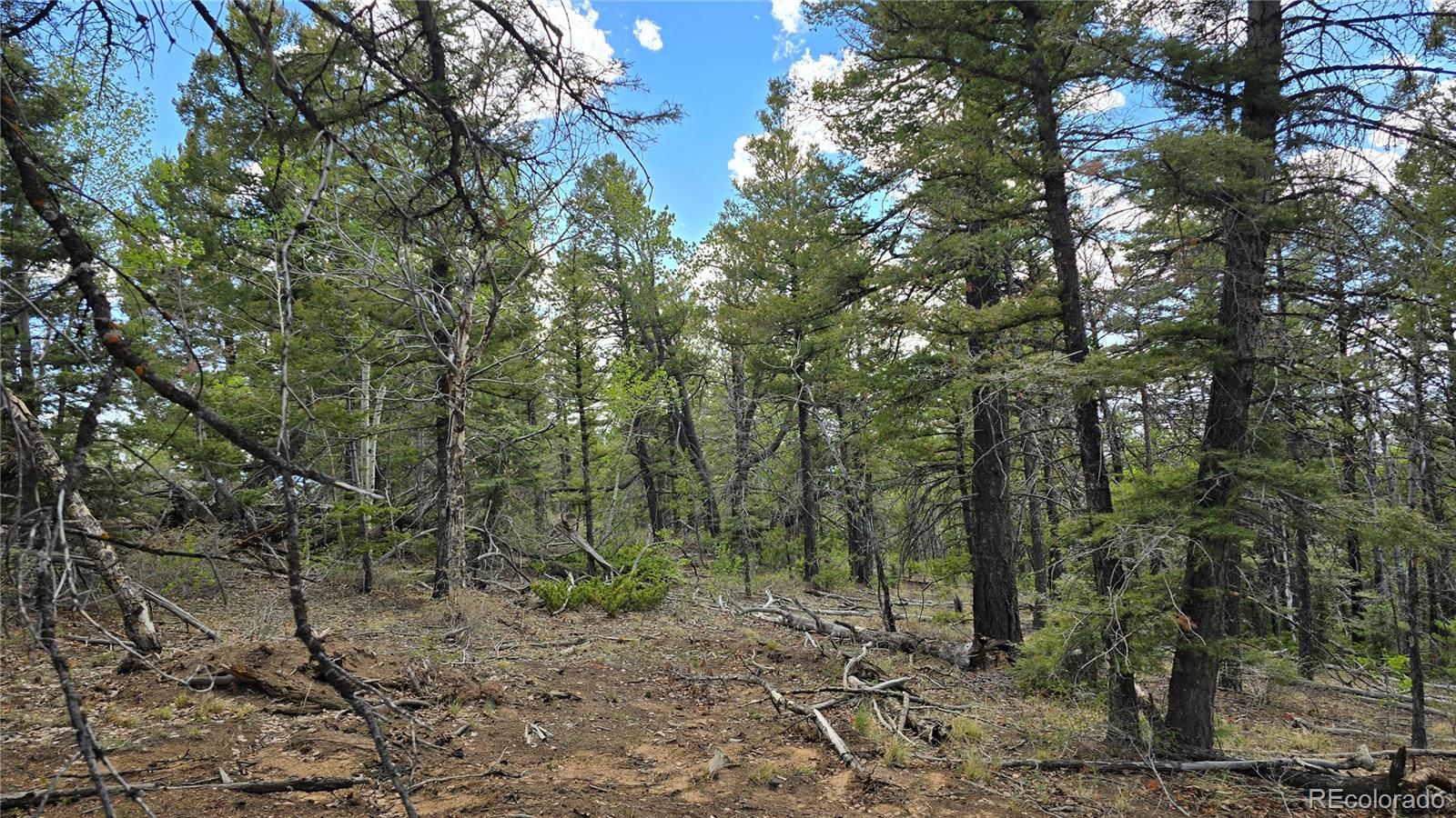 Lot 5825 Covington Road Fort Garland CO 81133