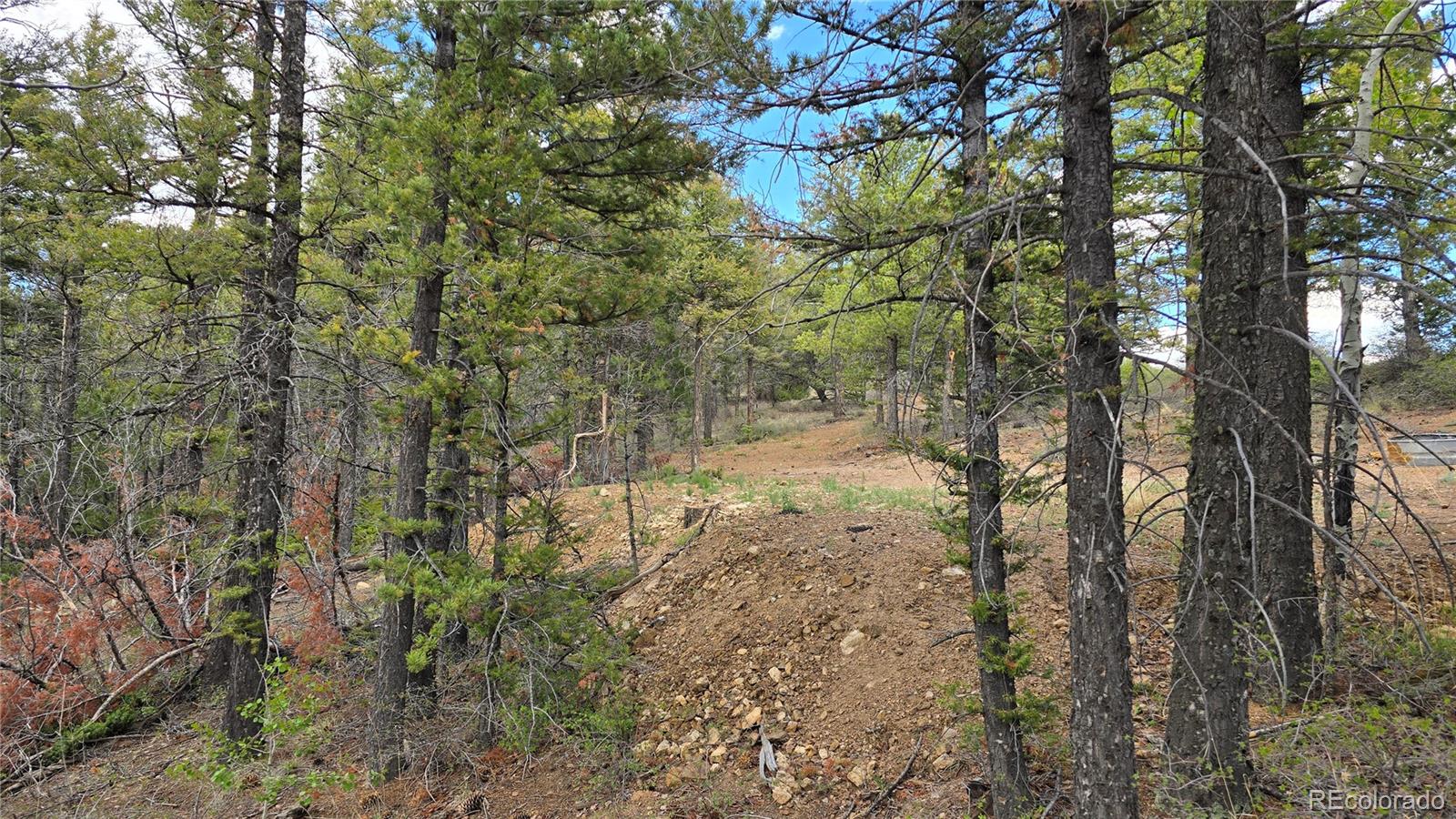 Lot 5825 Covington Road Fort Garland CO 81133